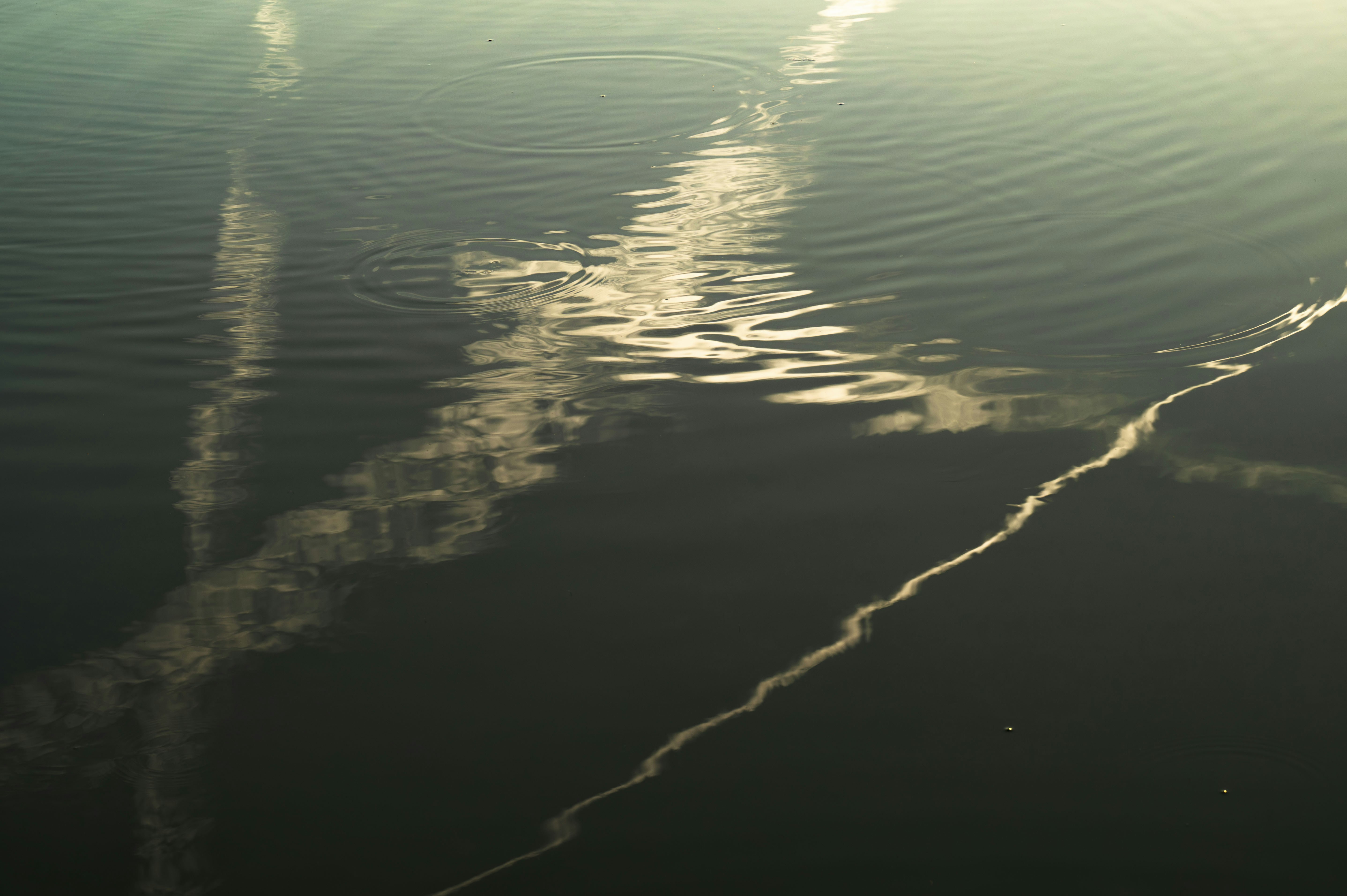 Photo by excellentcx