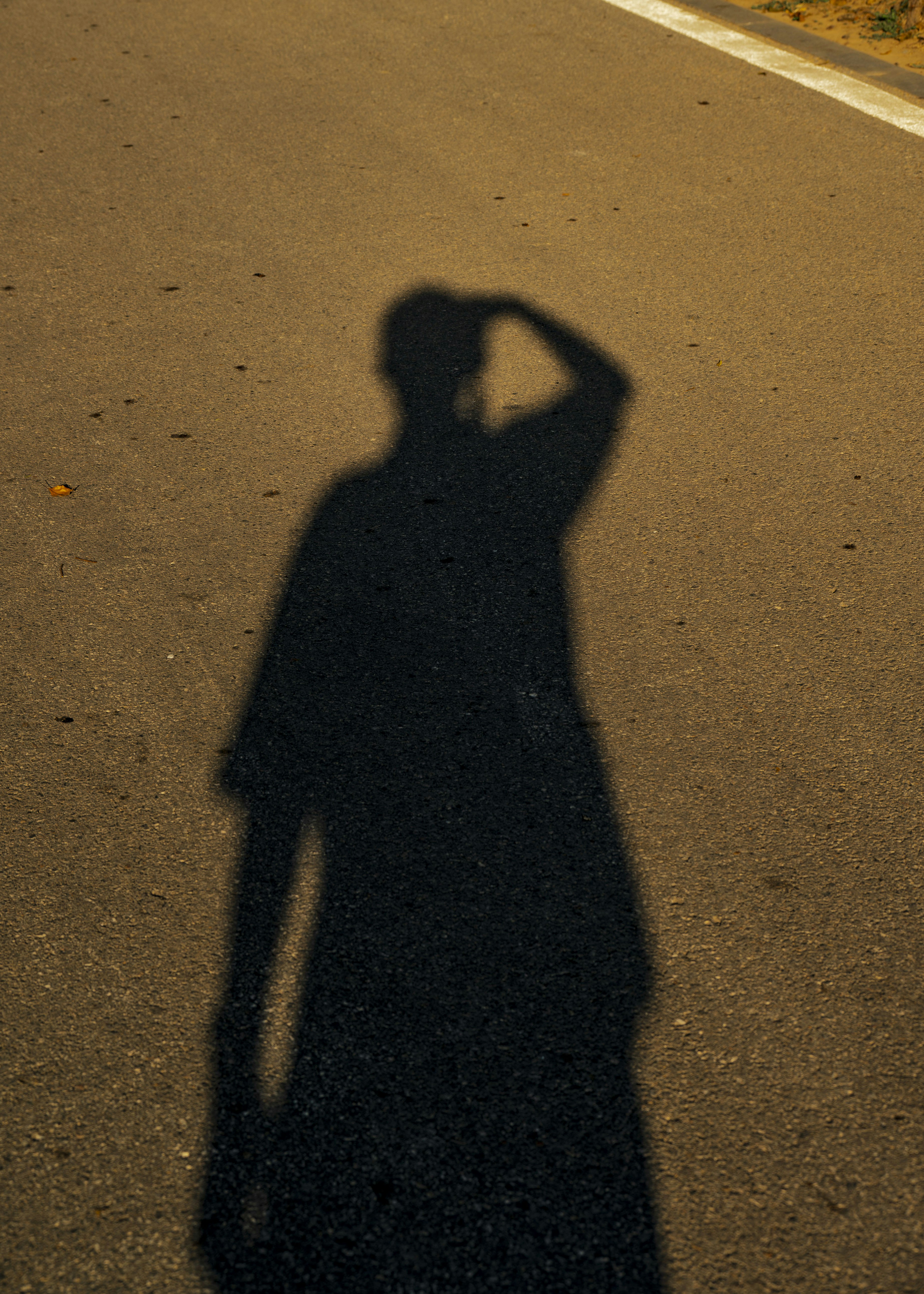 Photo by excellentcx