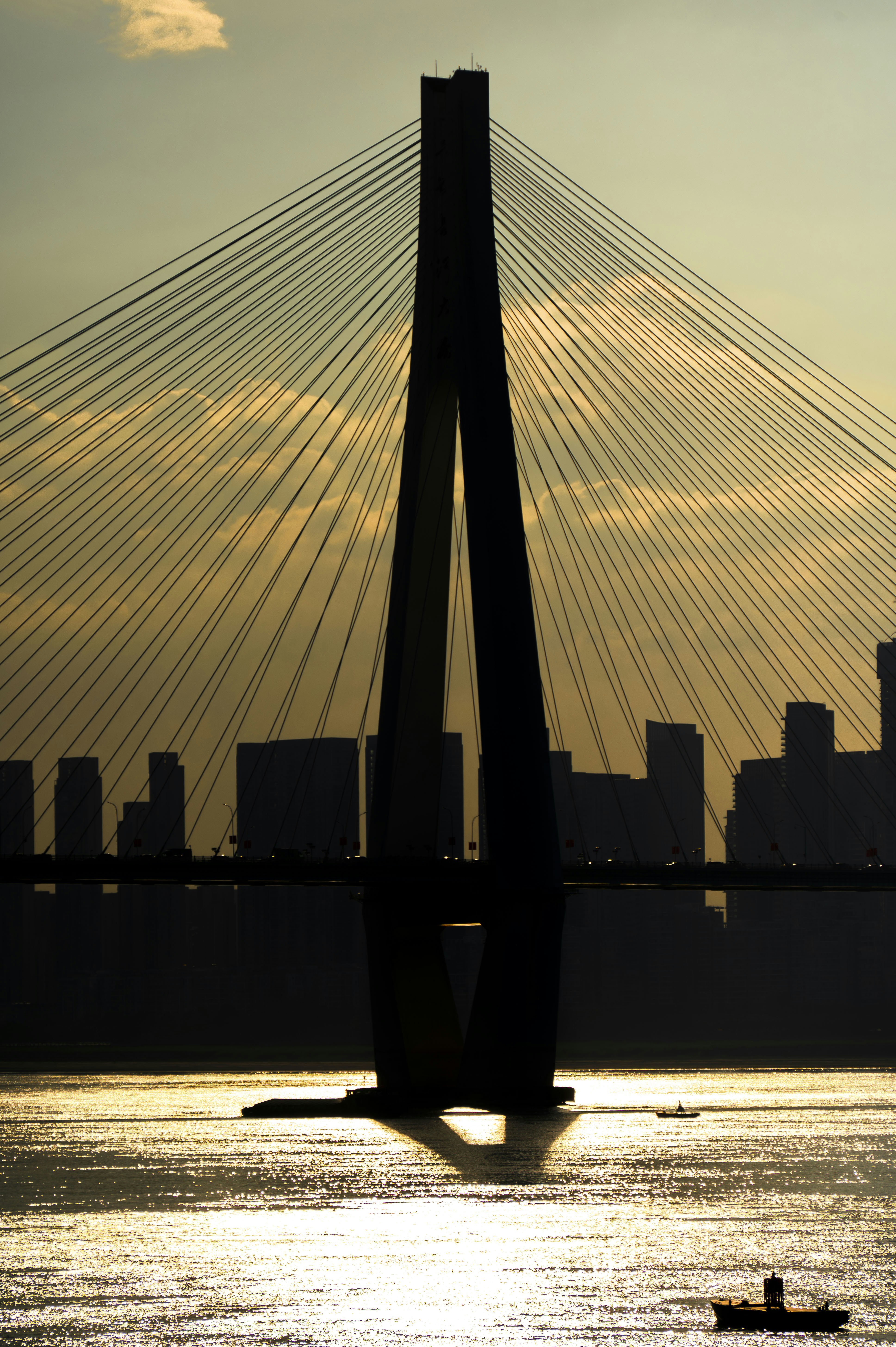 Photo by excellentcx