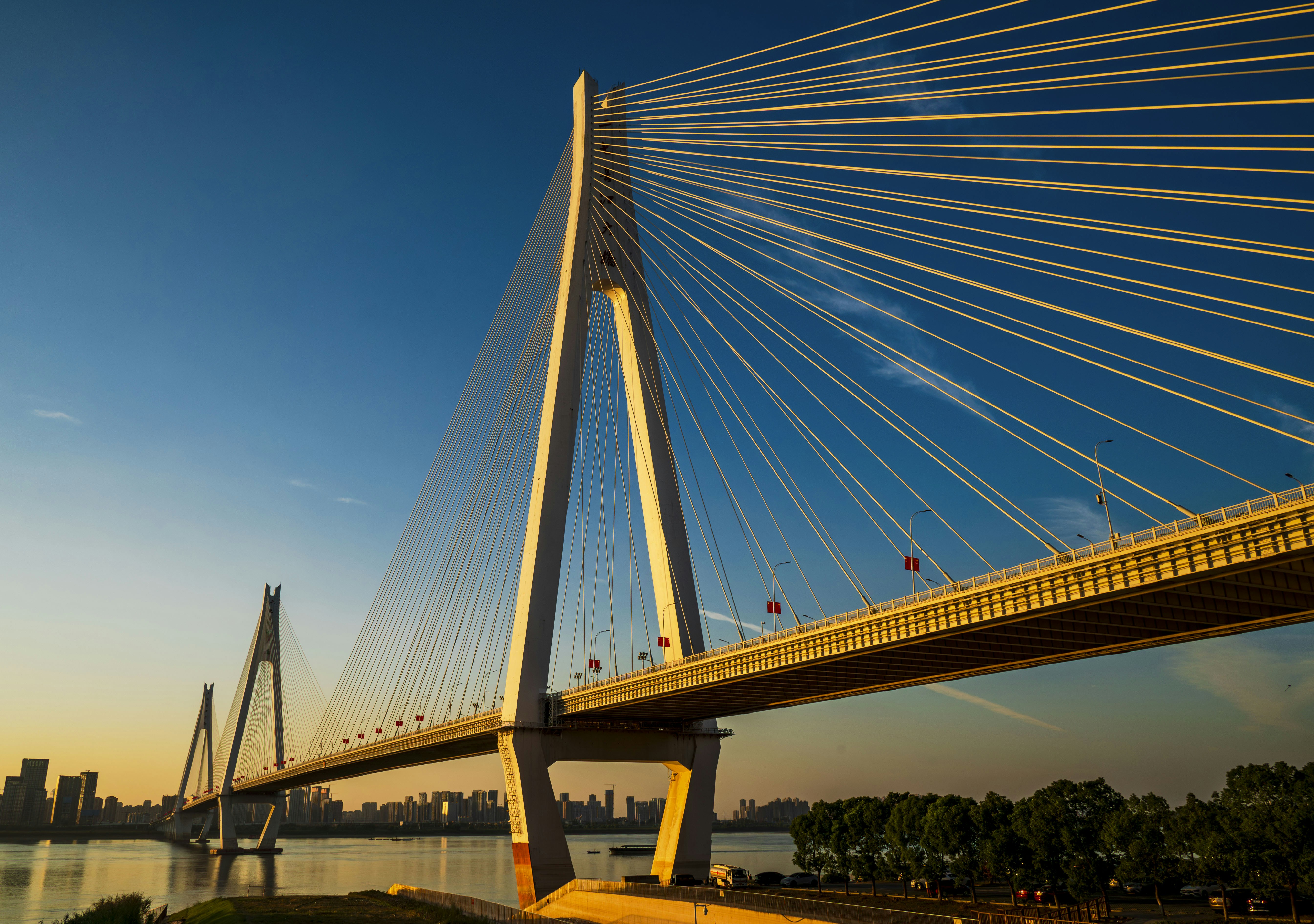 Photo by excellentcx