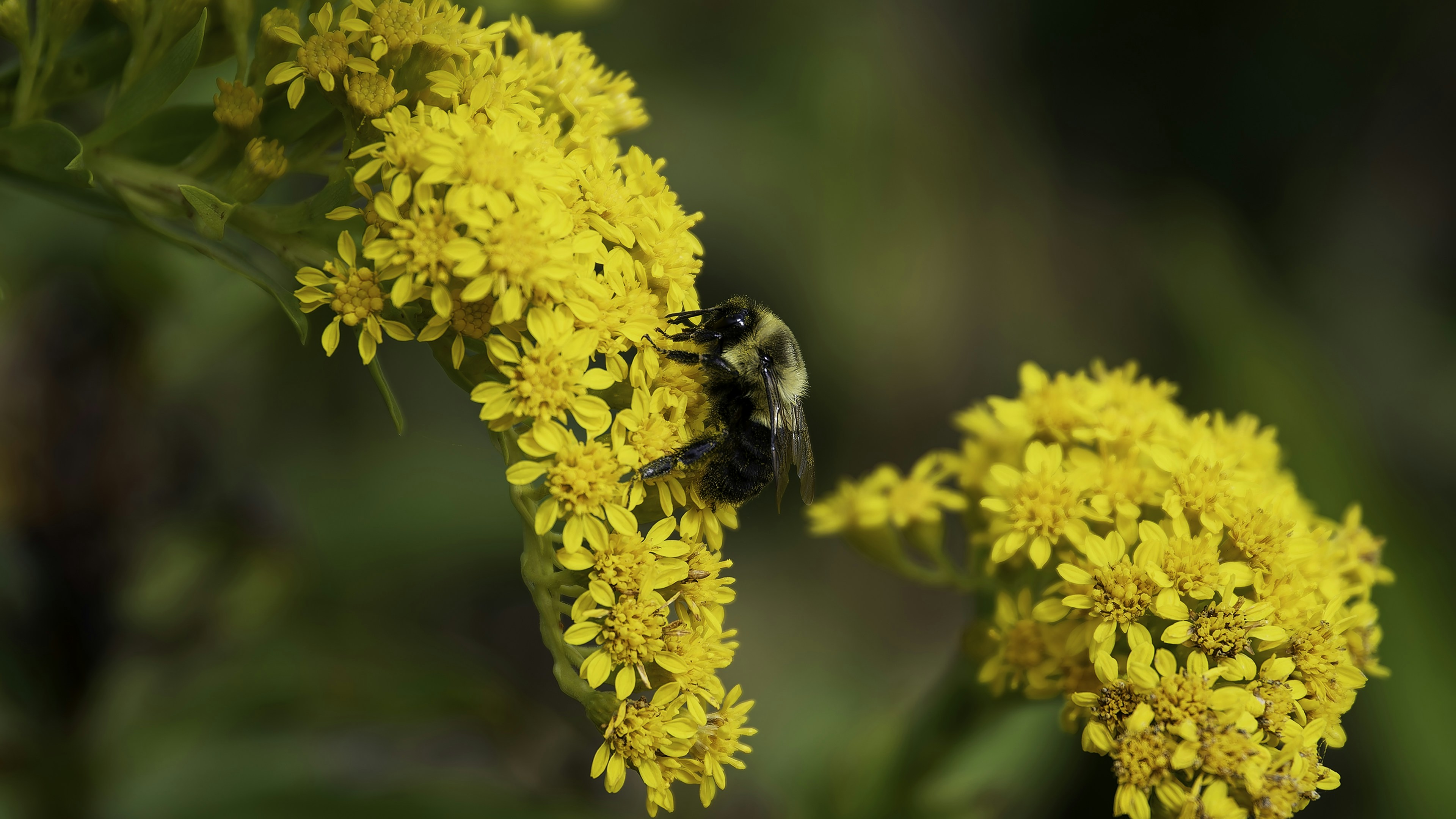 Szczęście to Klucz