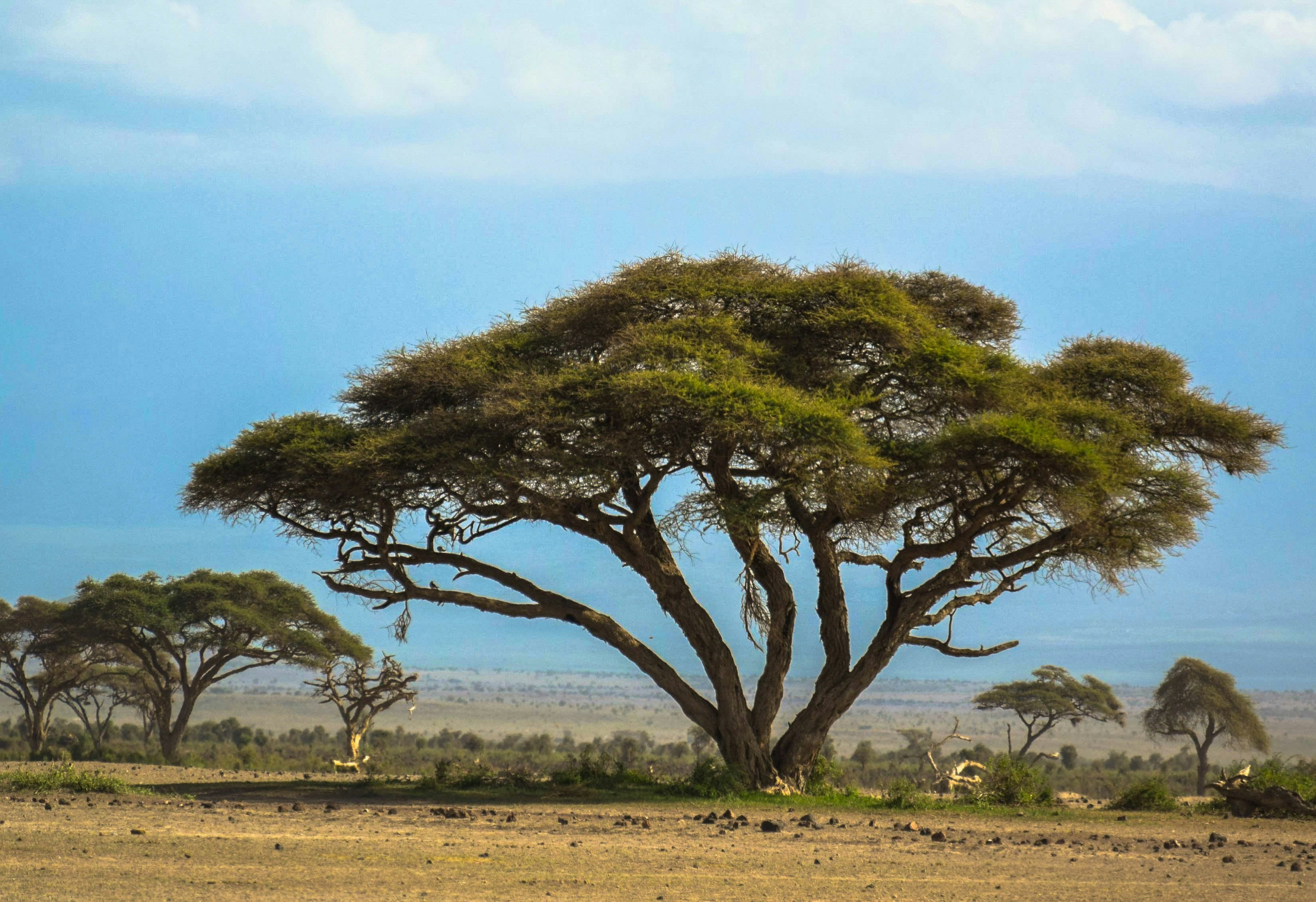 Photo by capt_seaman