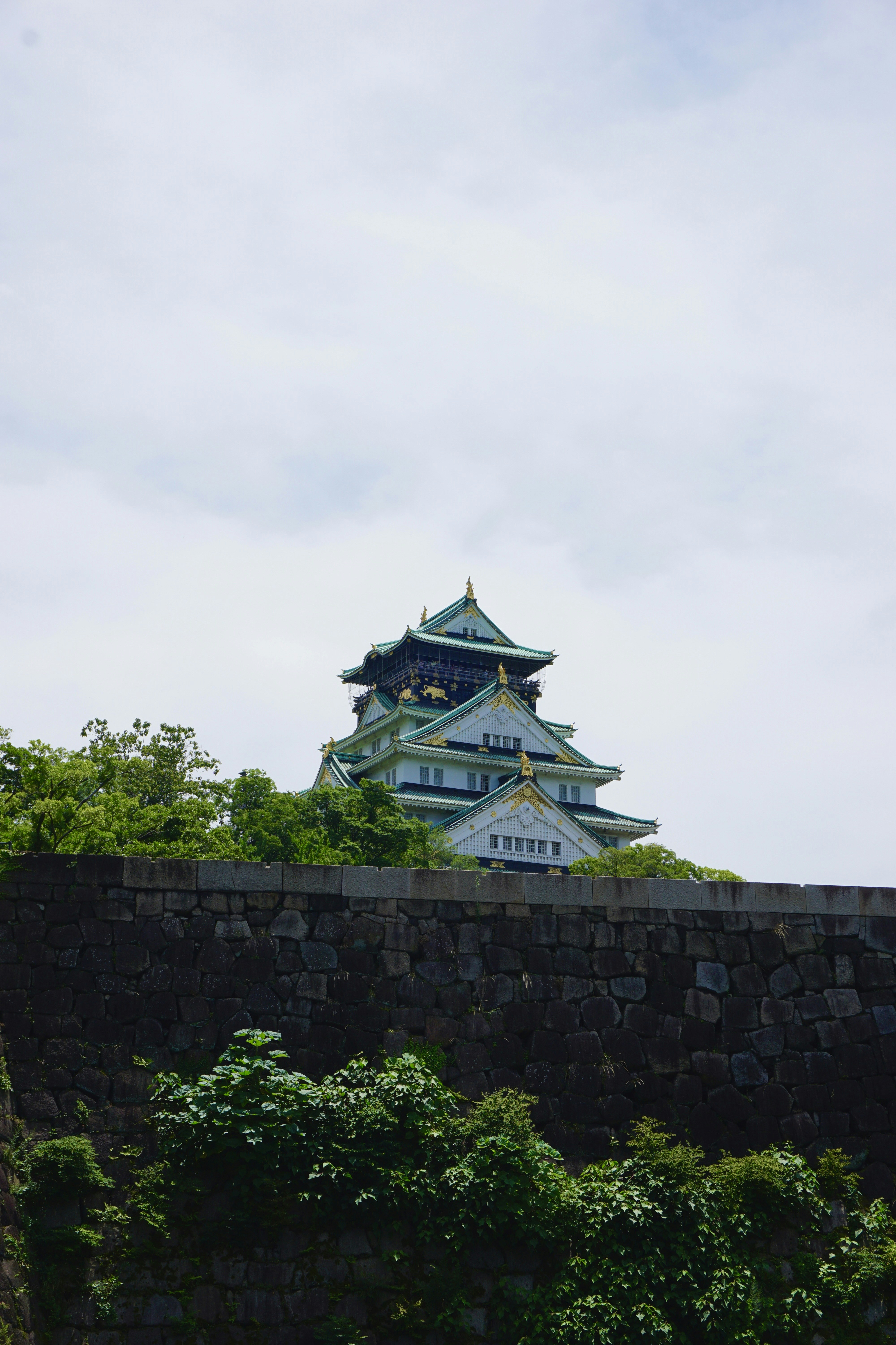 Photo by syria_polidoro