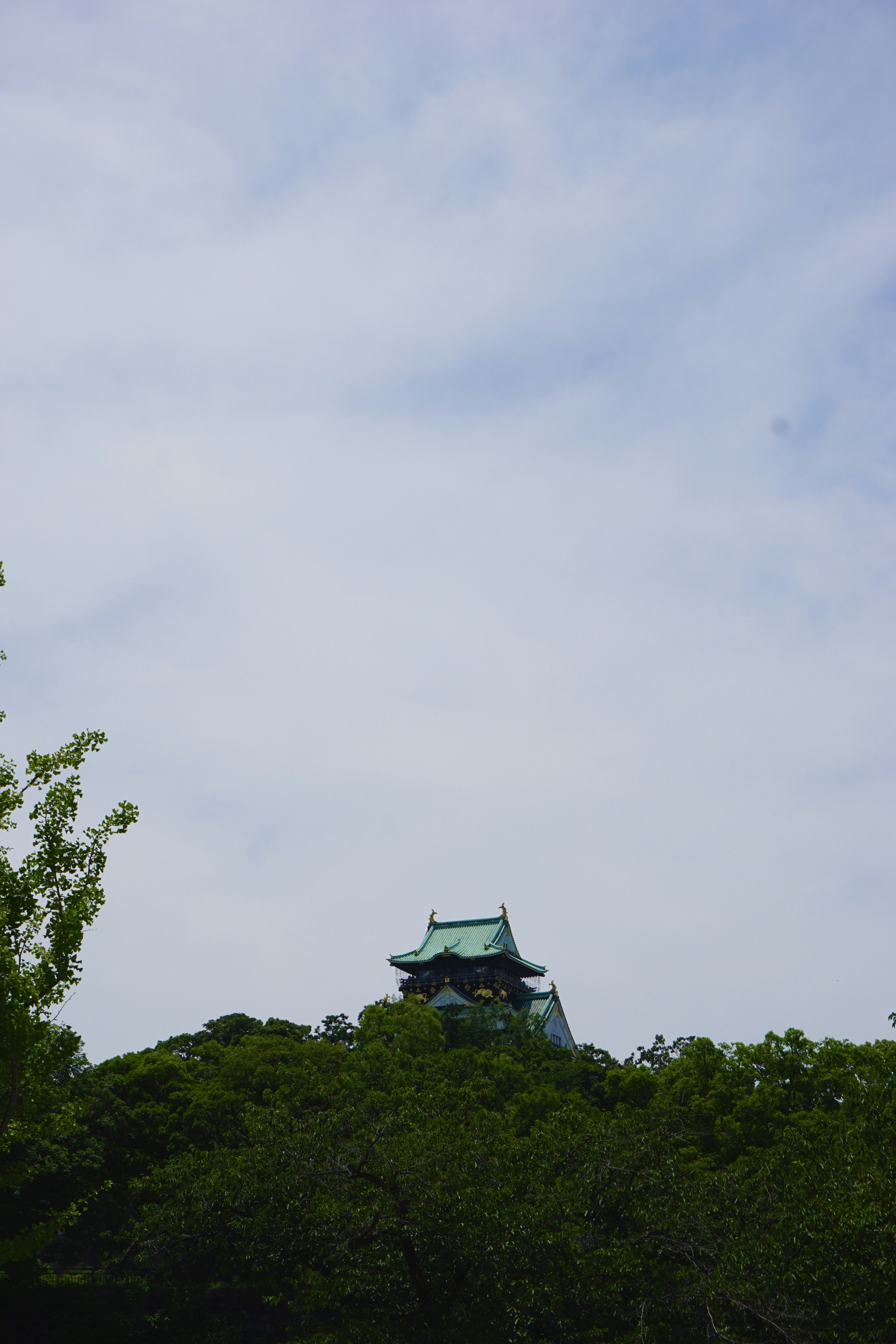 Una alta torre de reloj que se eleva sobre un exuberante bosque verde