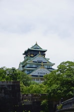 A tall building sitting above a lush green forest