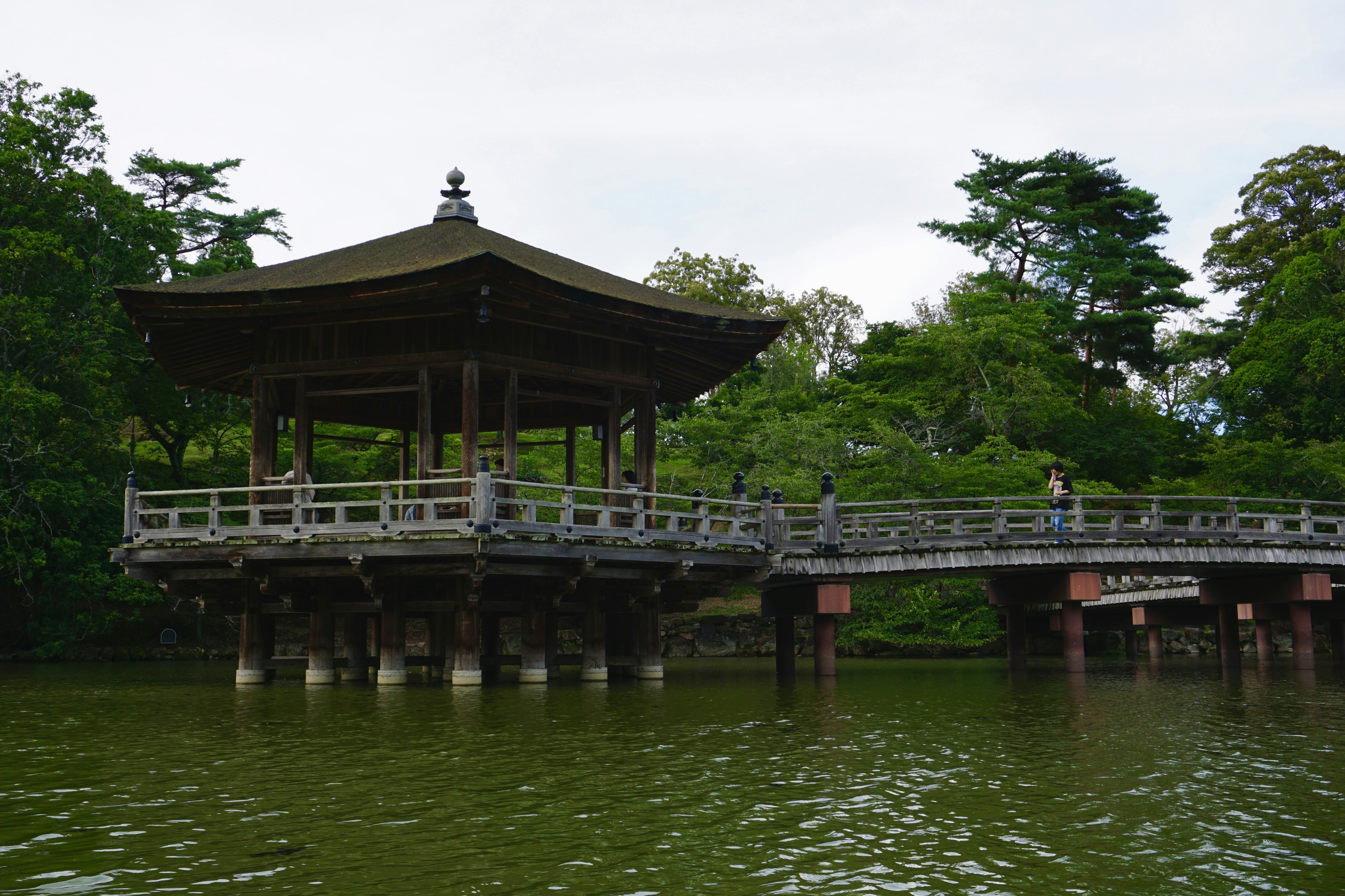 Photo by syria_polidoro