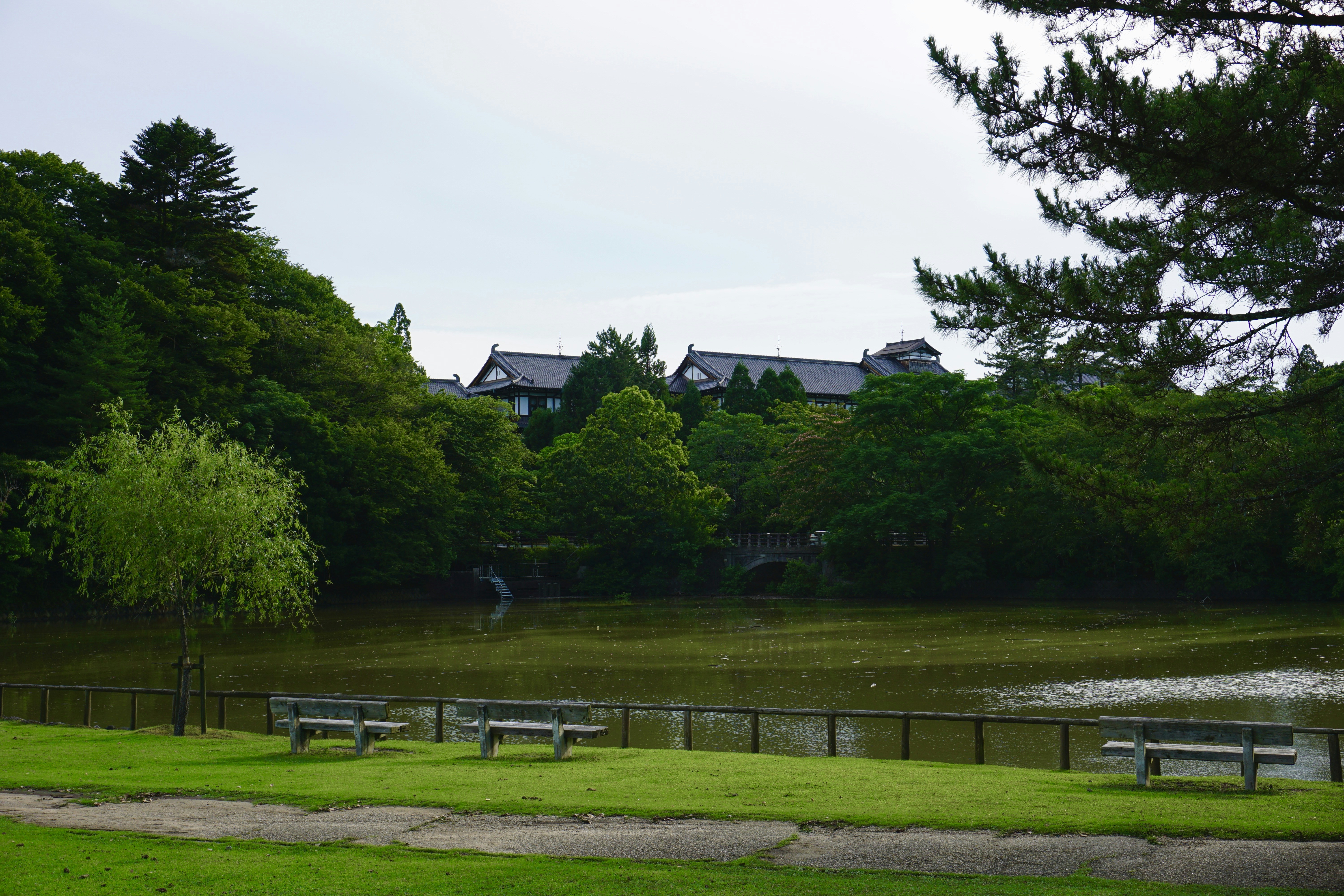 A park with benches and a lake in the background