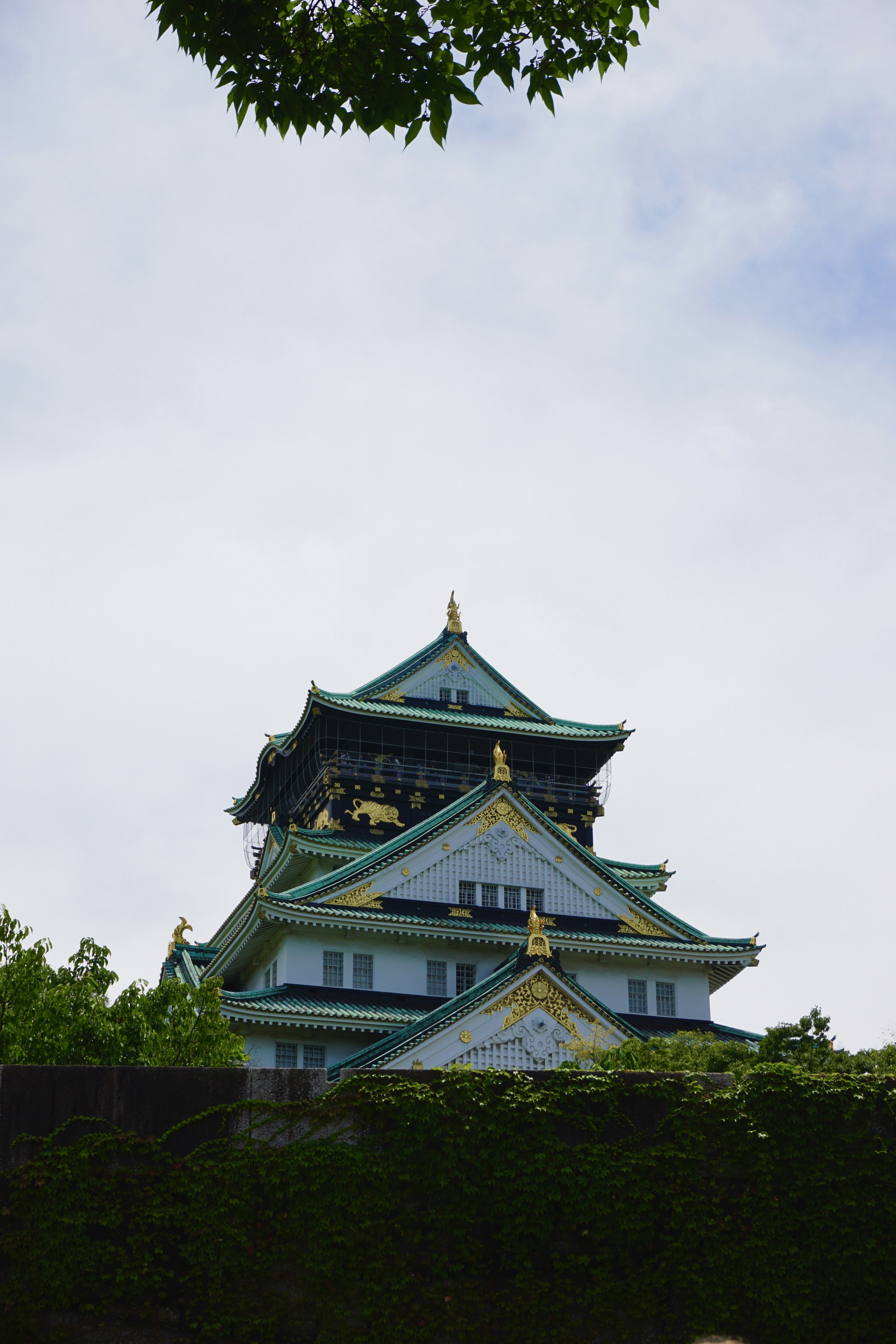 Photo by syria_polidoro