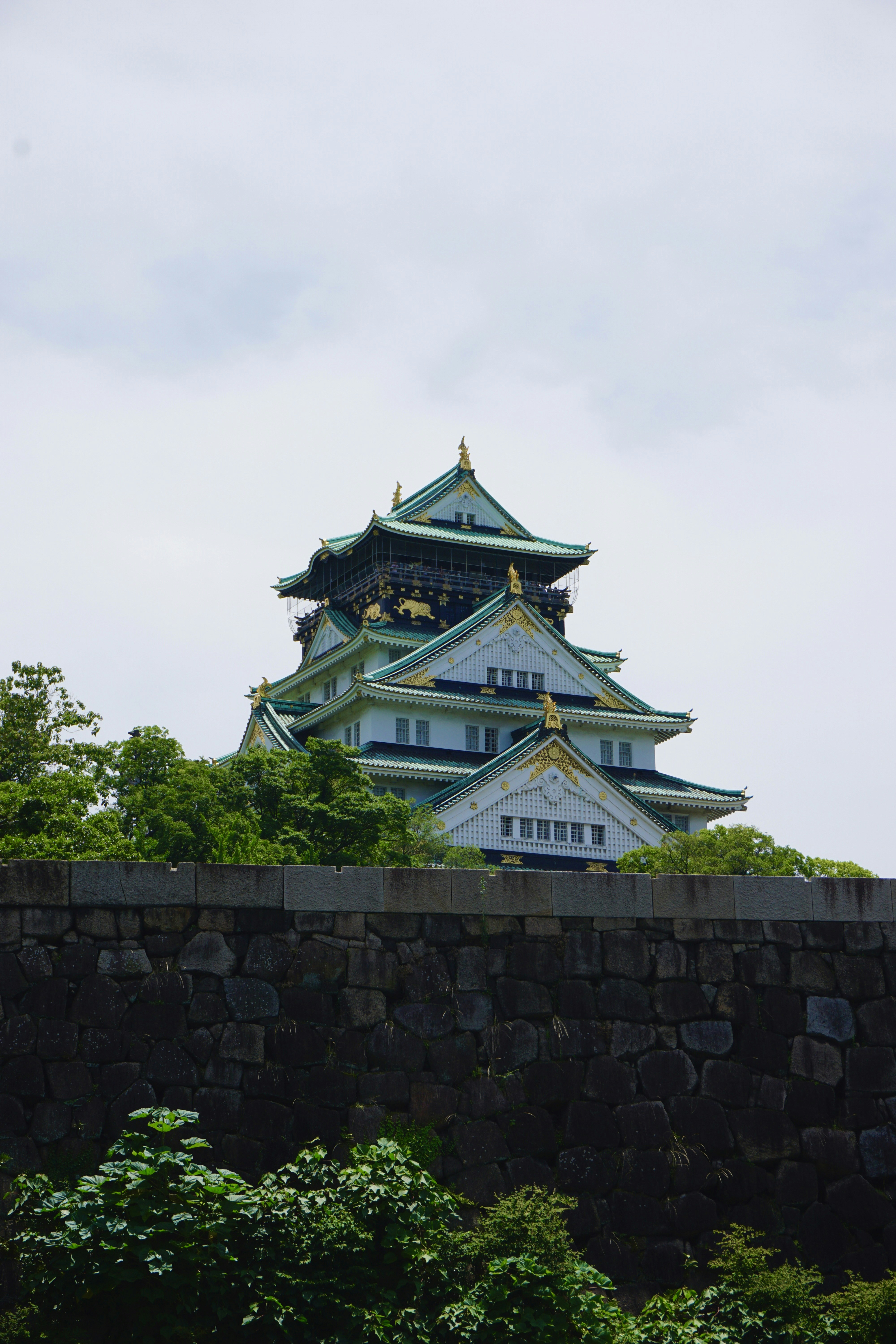 Photo by syria_polidoro