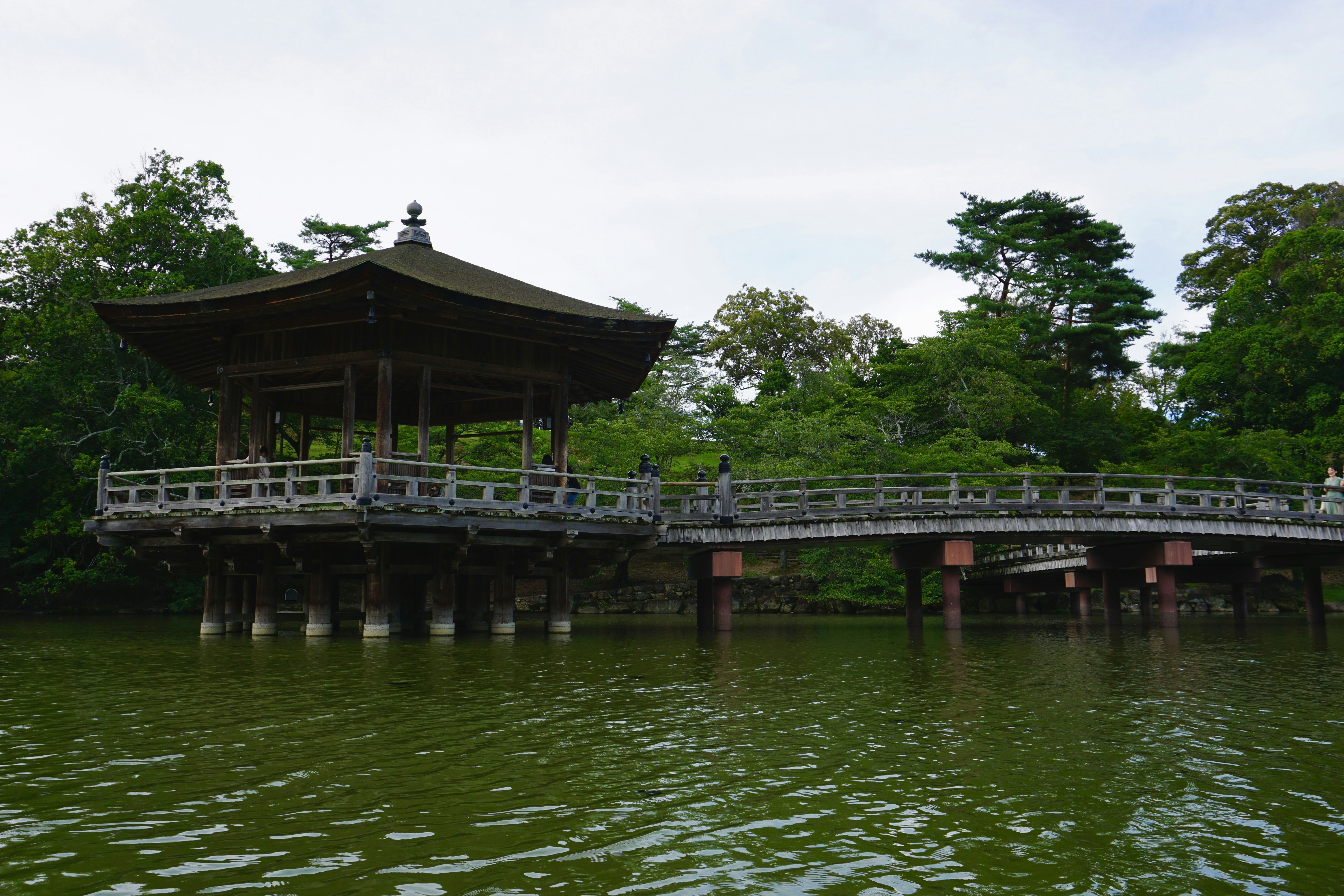 Photo by syria_polidoro