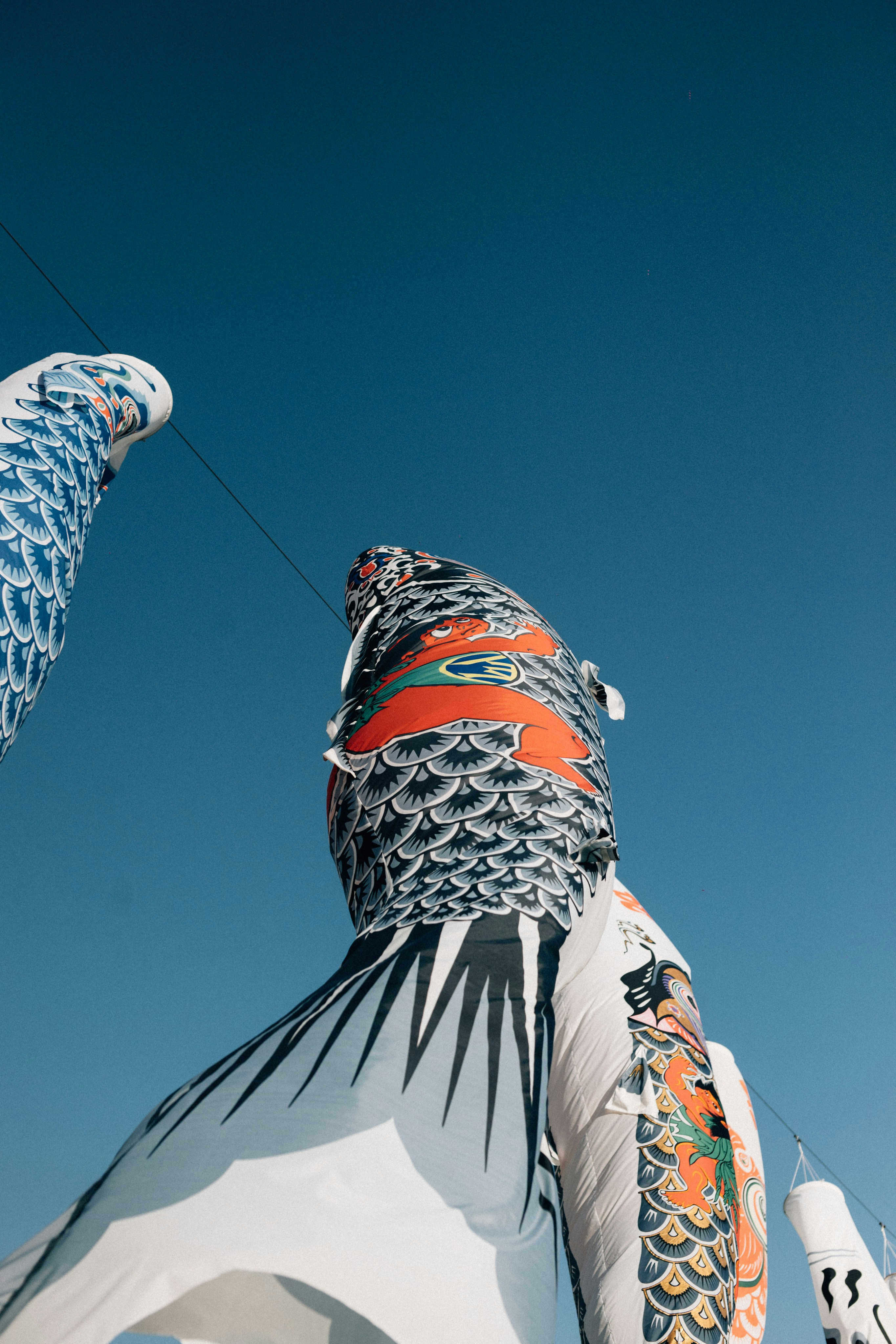 Photo by tsuyoshikozu