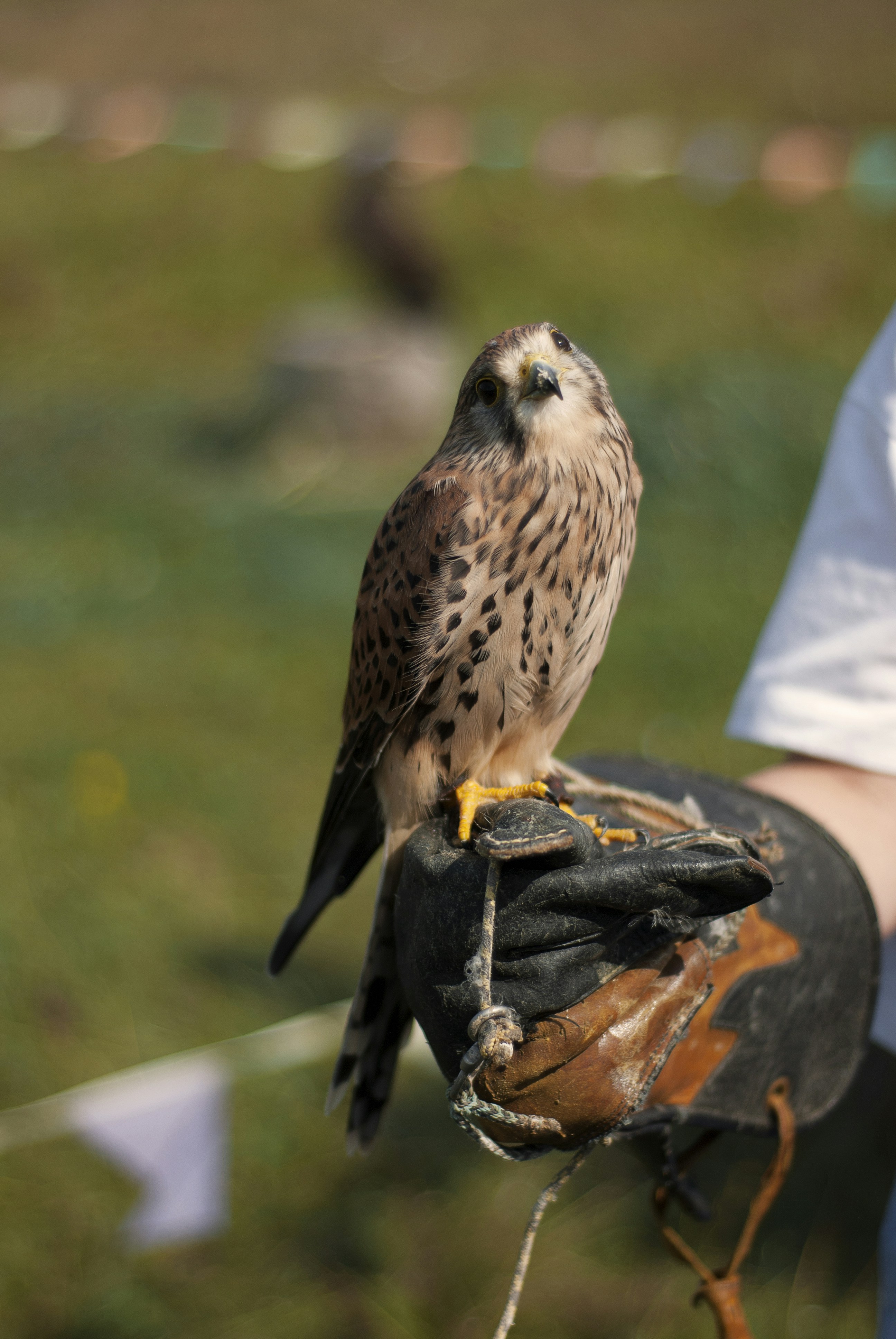 Photo by kovalskihelga