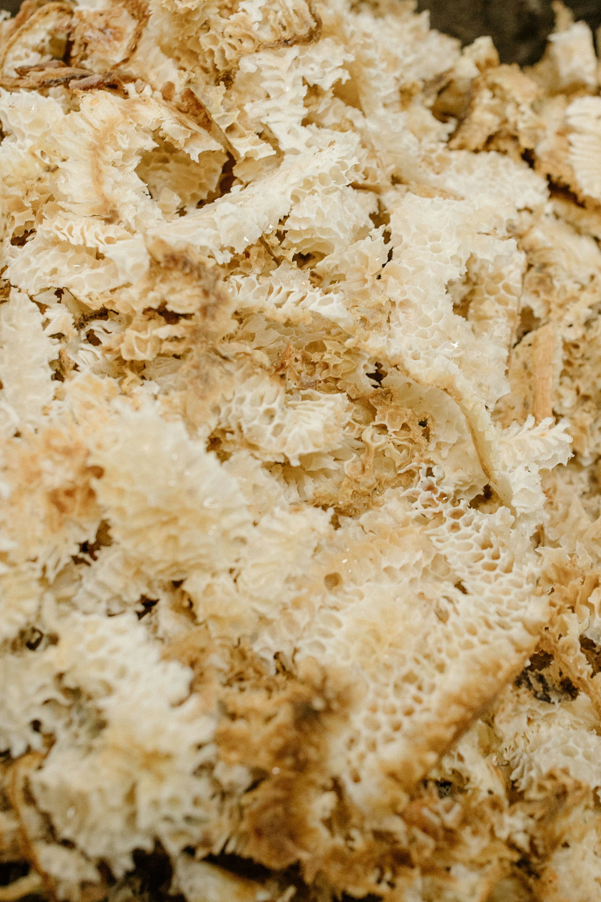 Photo by sperryhoney