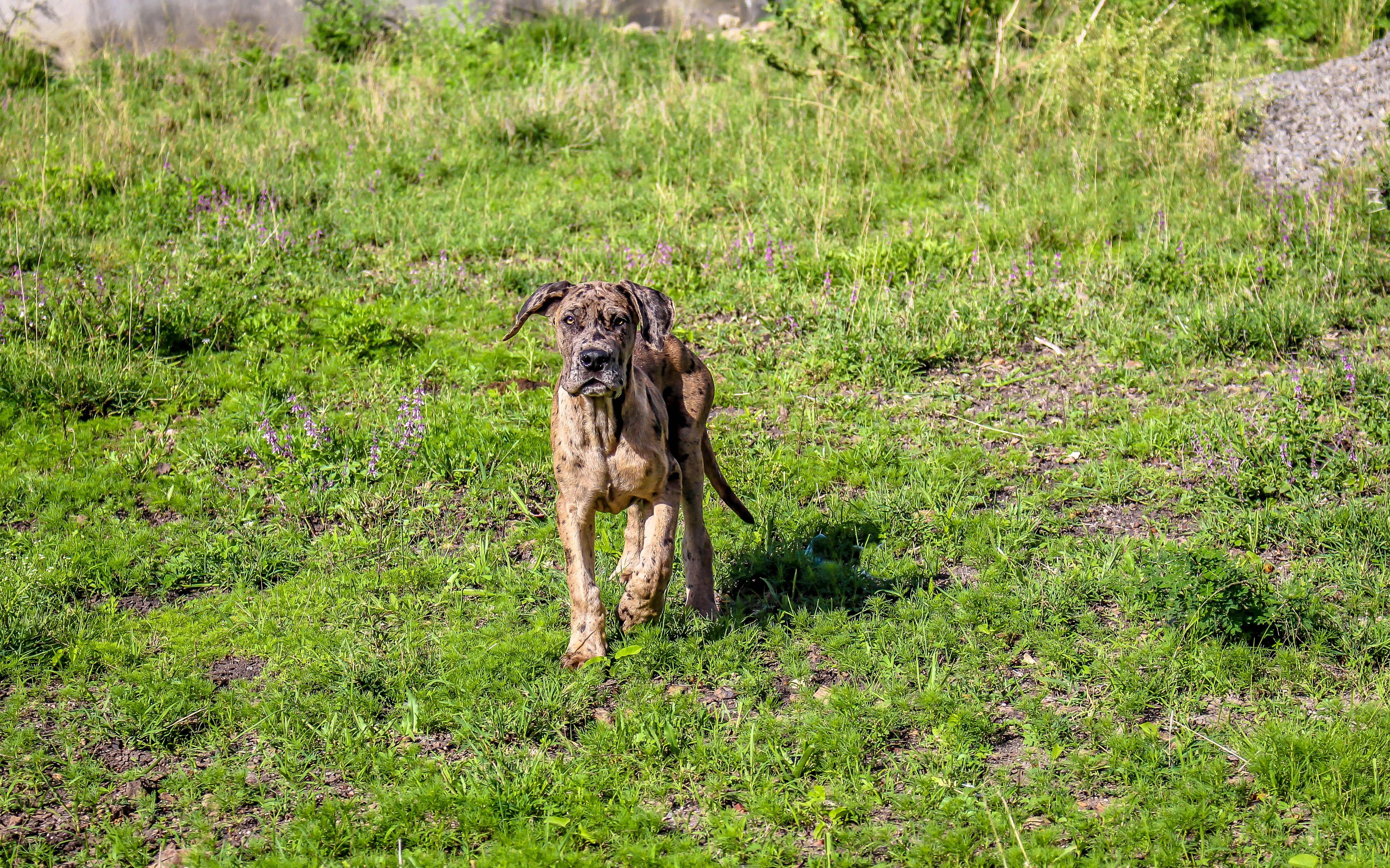 Photo by dan_arts_ke