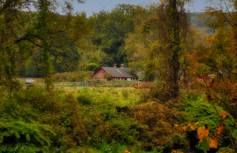 Autumn countryside in the Litchfield Hills