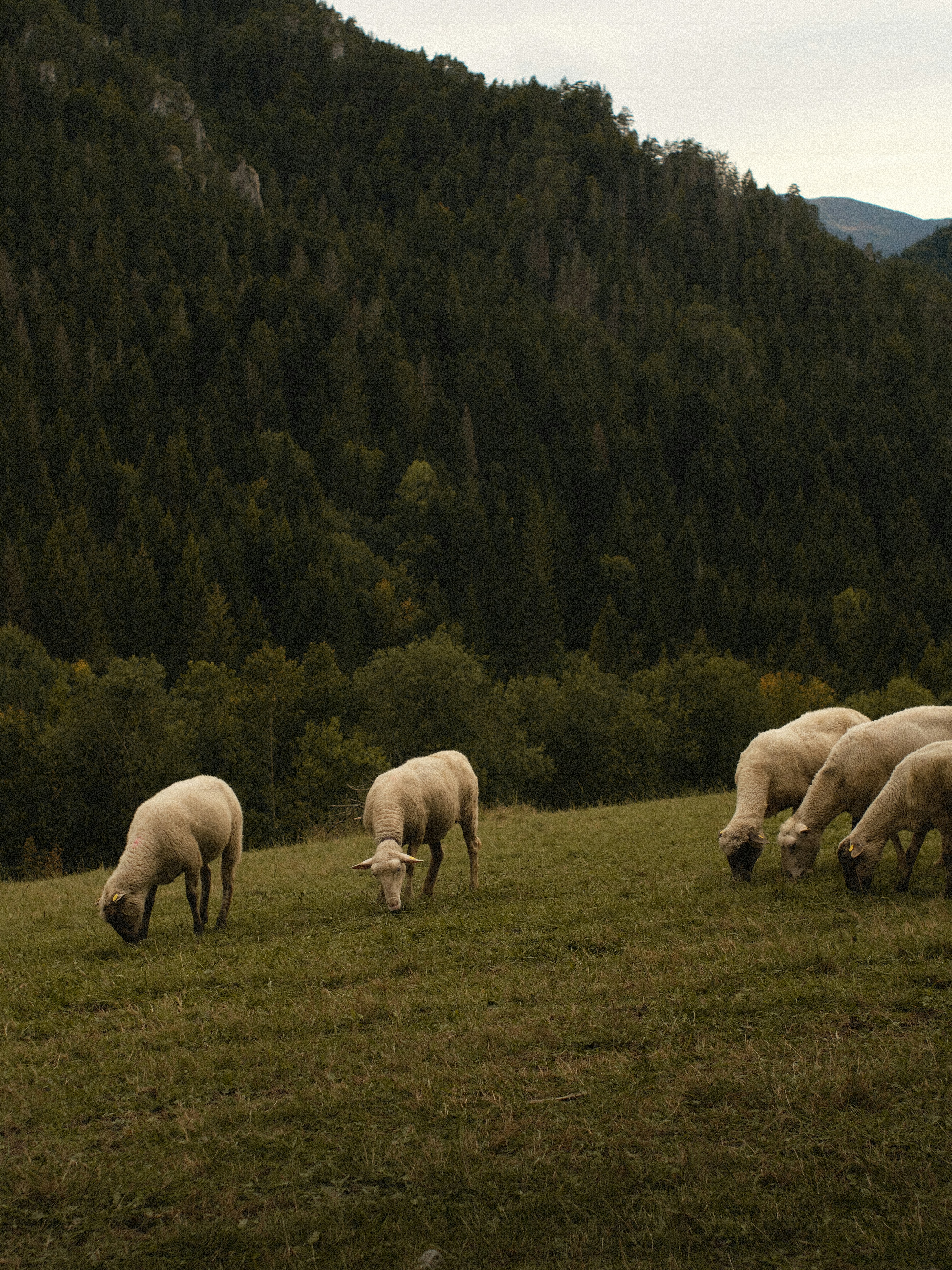 Photo by jkalina