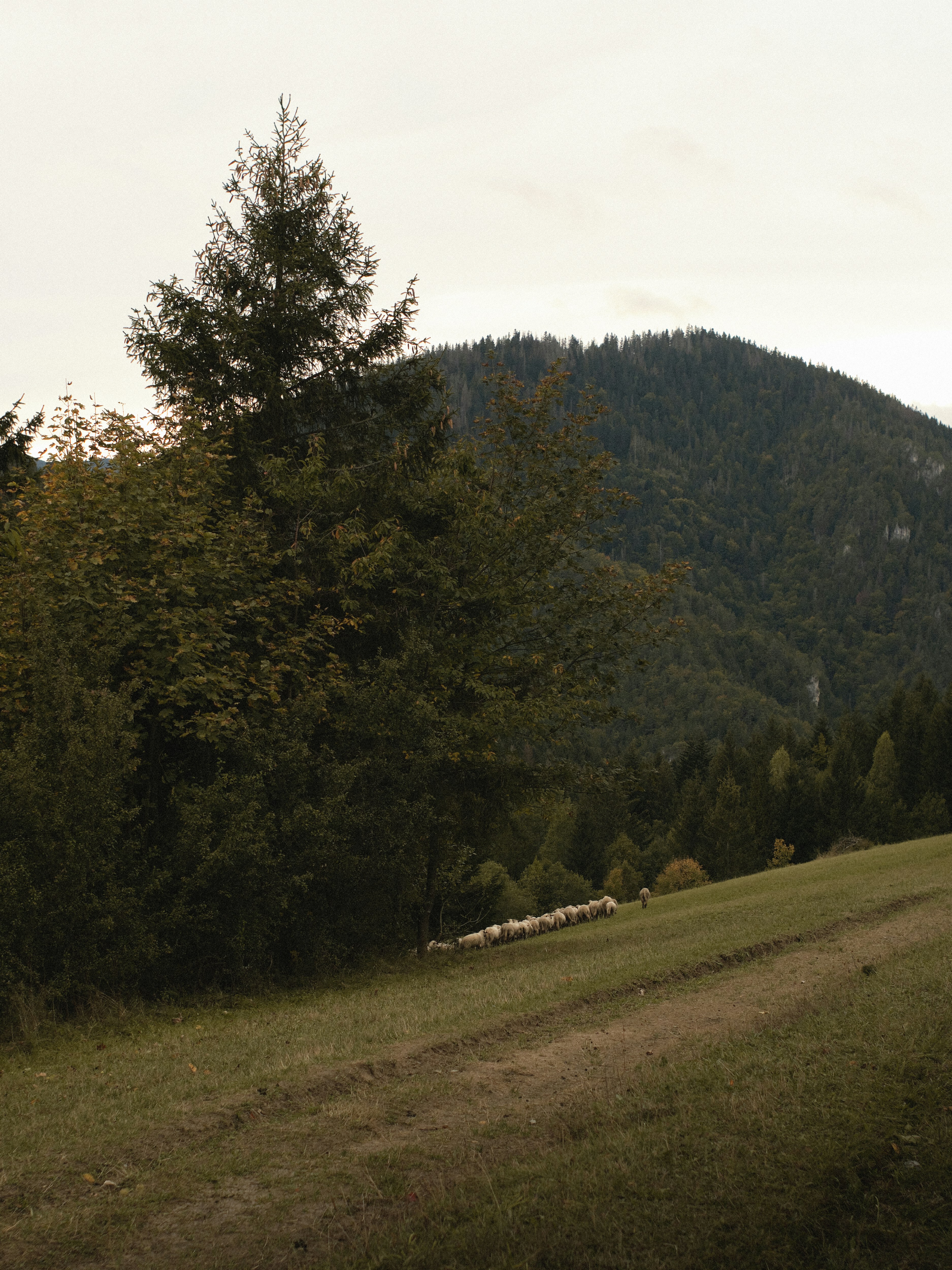 Photo by jkalina