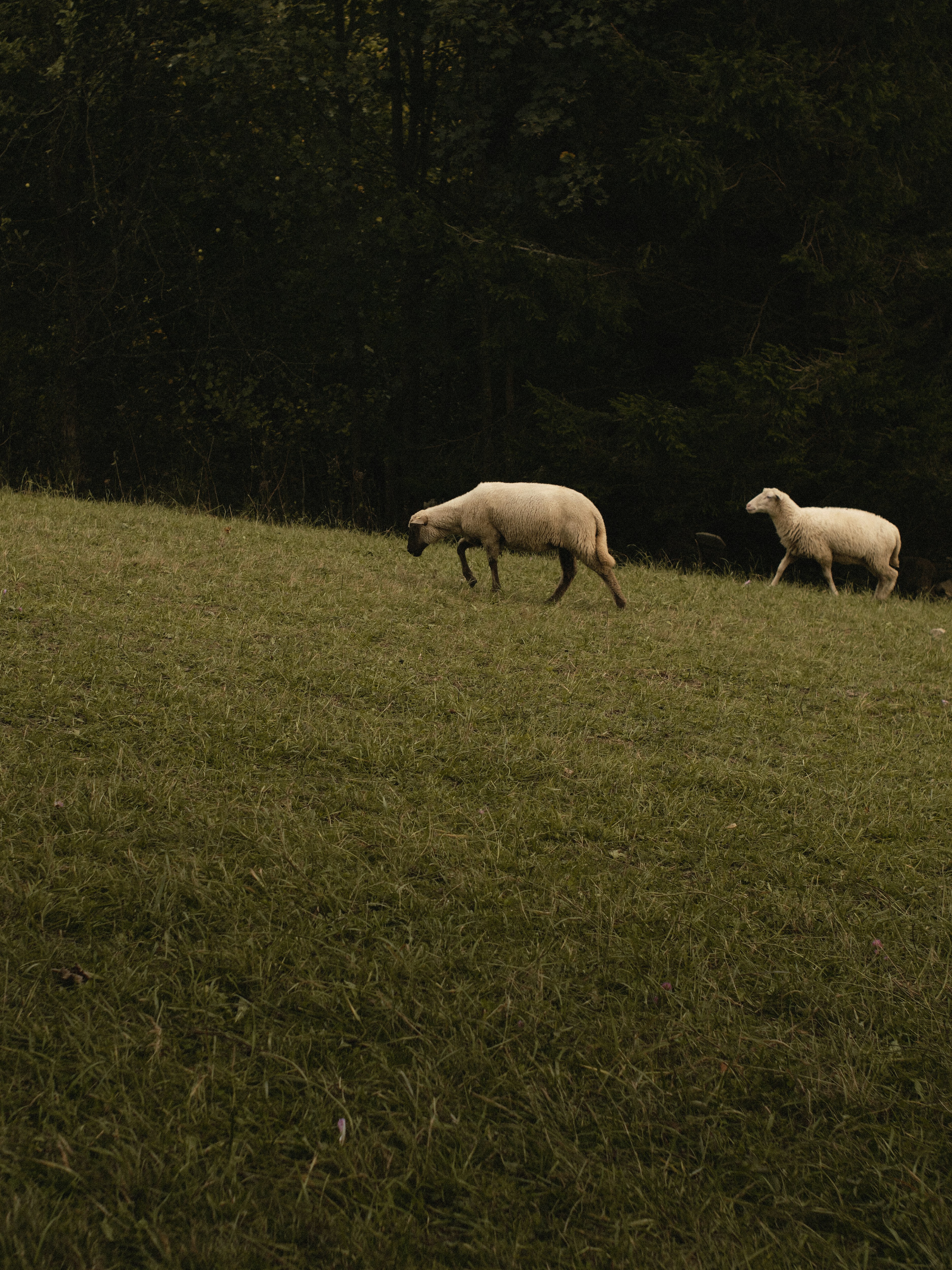 Photo by jkalina