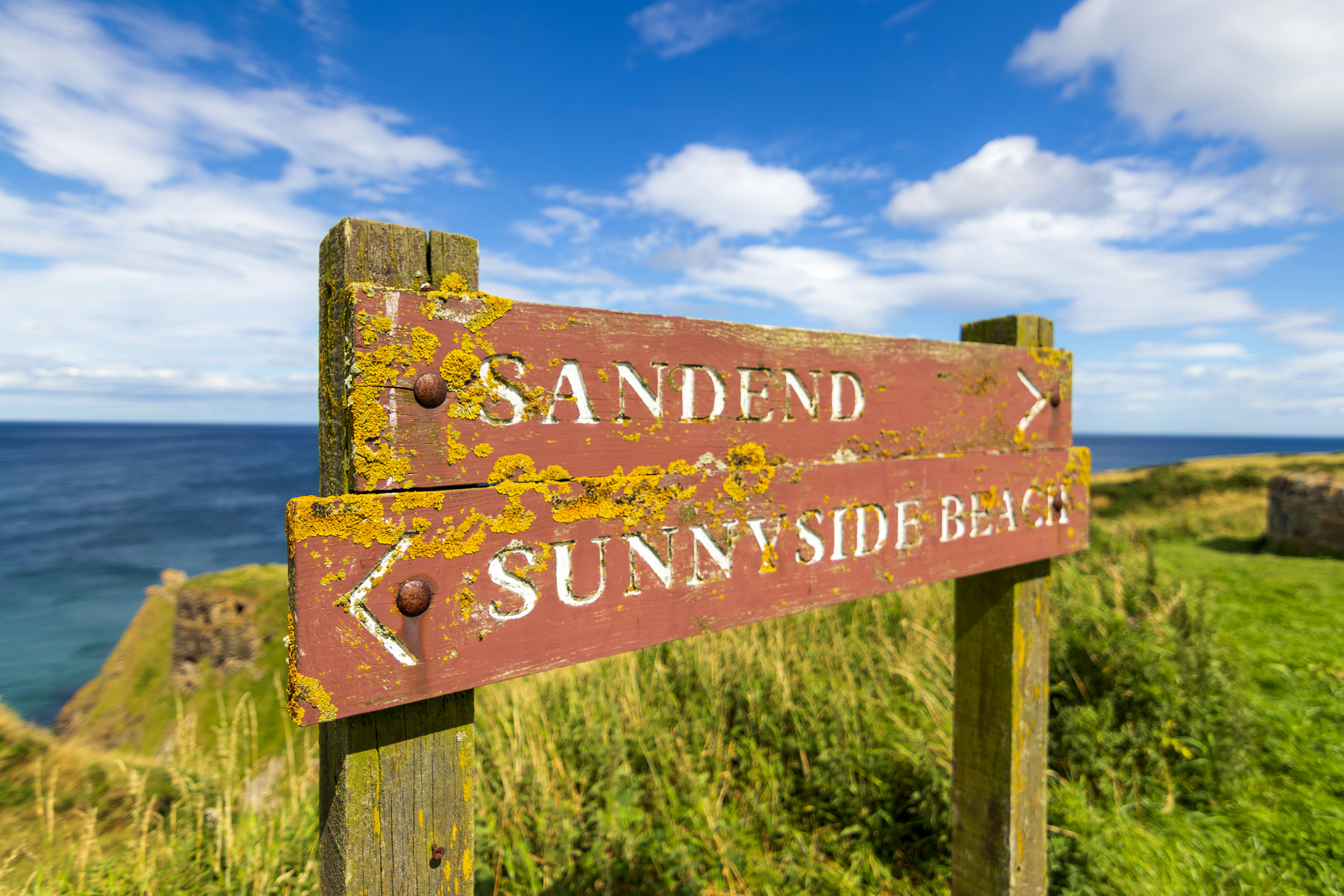 A wooden sign sitting on the side of a lush green hillside