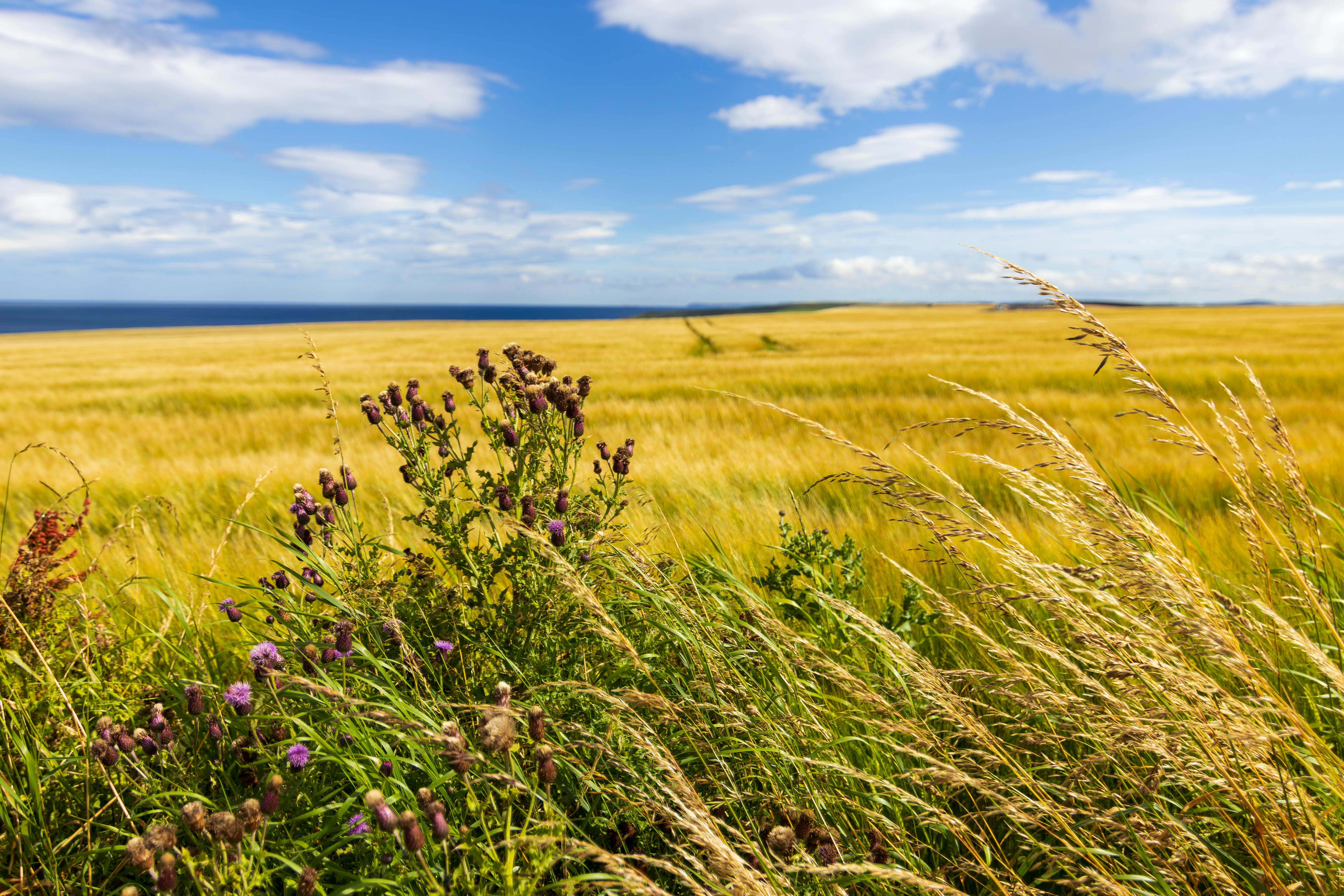 Photo by christian_attard