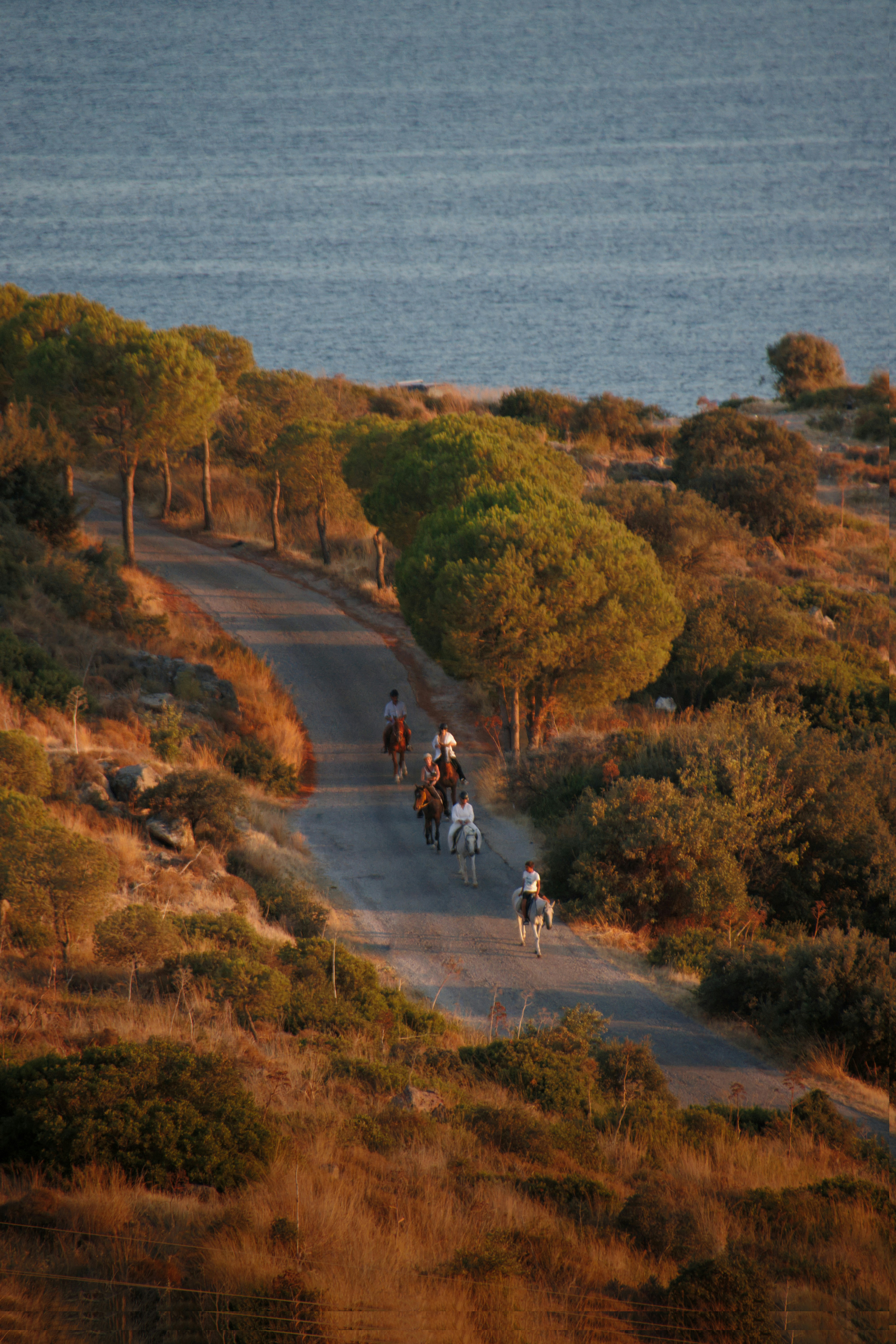 A group of people riding horses down a road