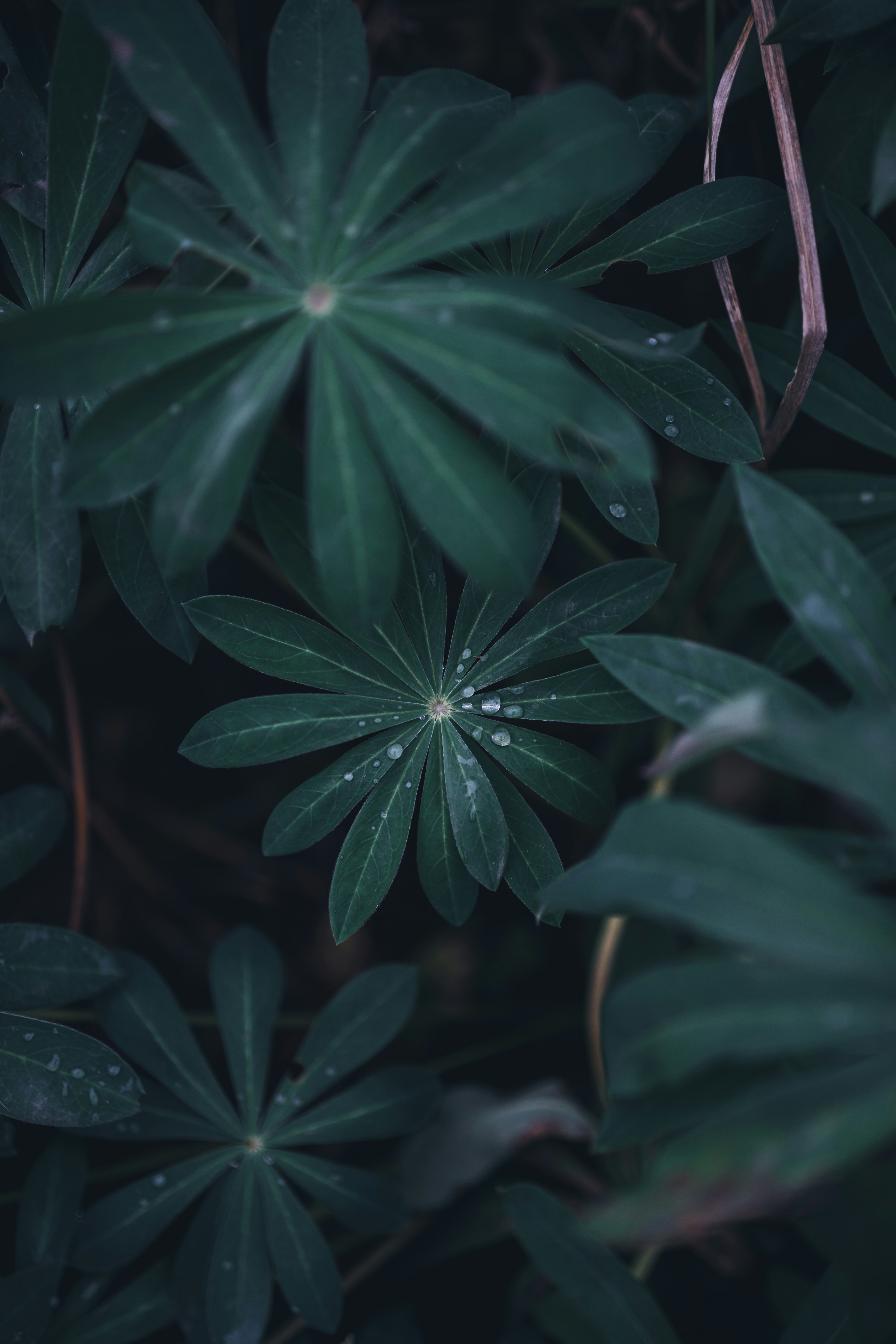 Photo by hellaren