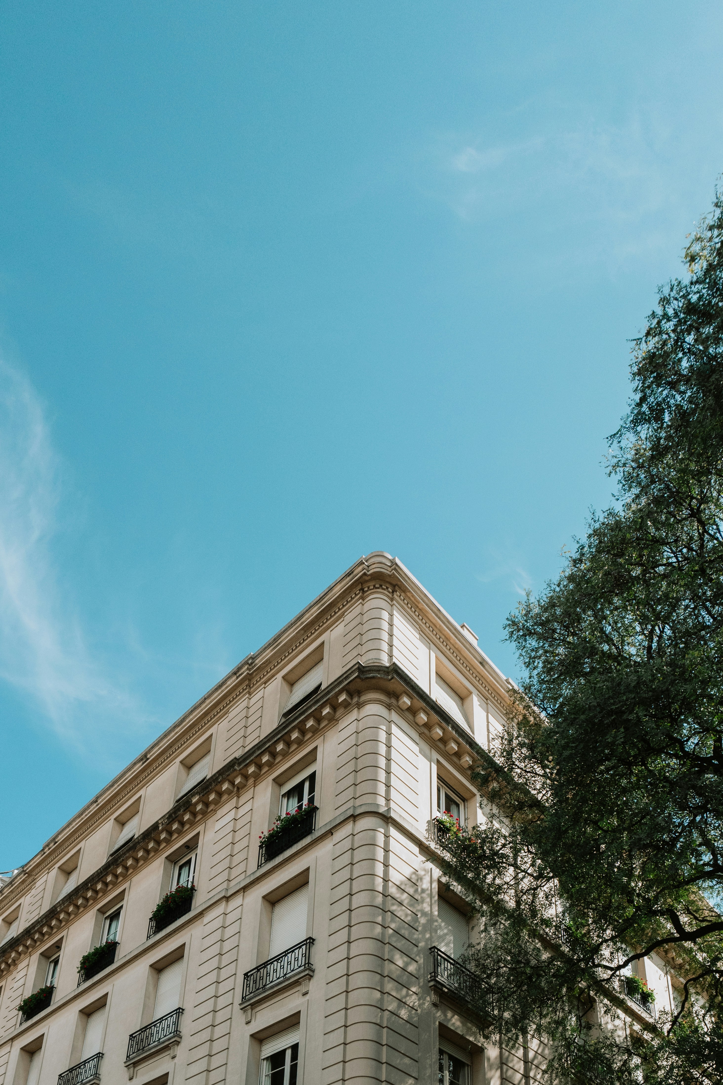 Photo by andreicastanha