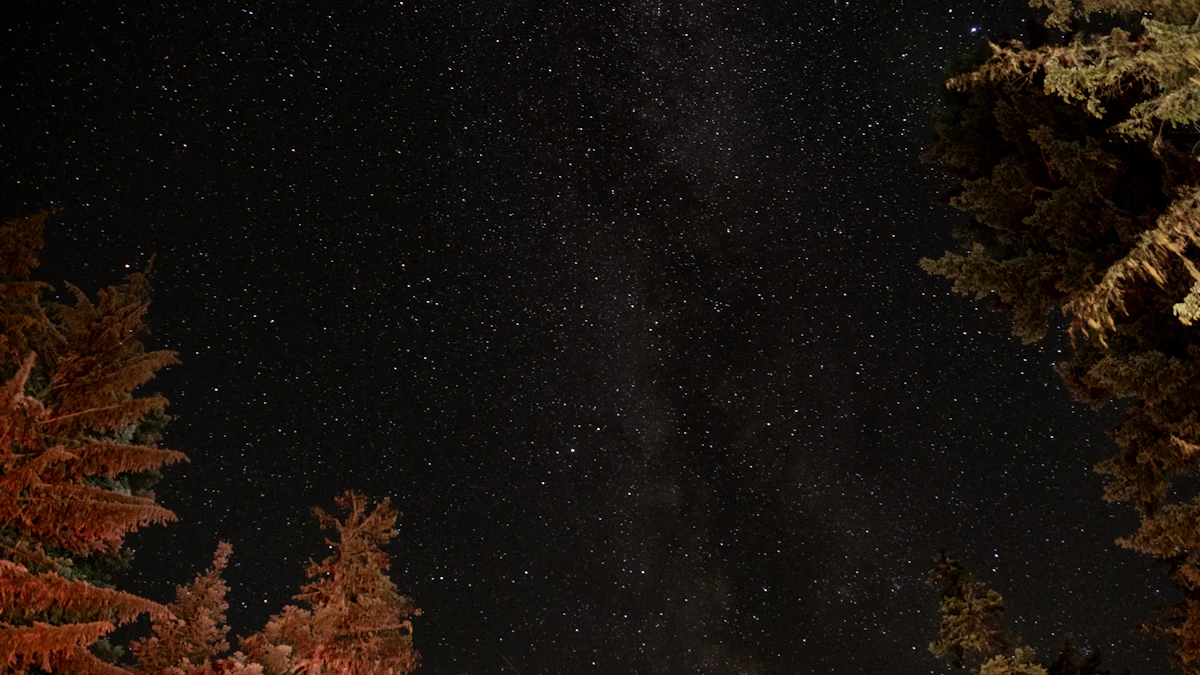 Night sky full of stars above evergreen trees in Mount Rainier National Park