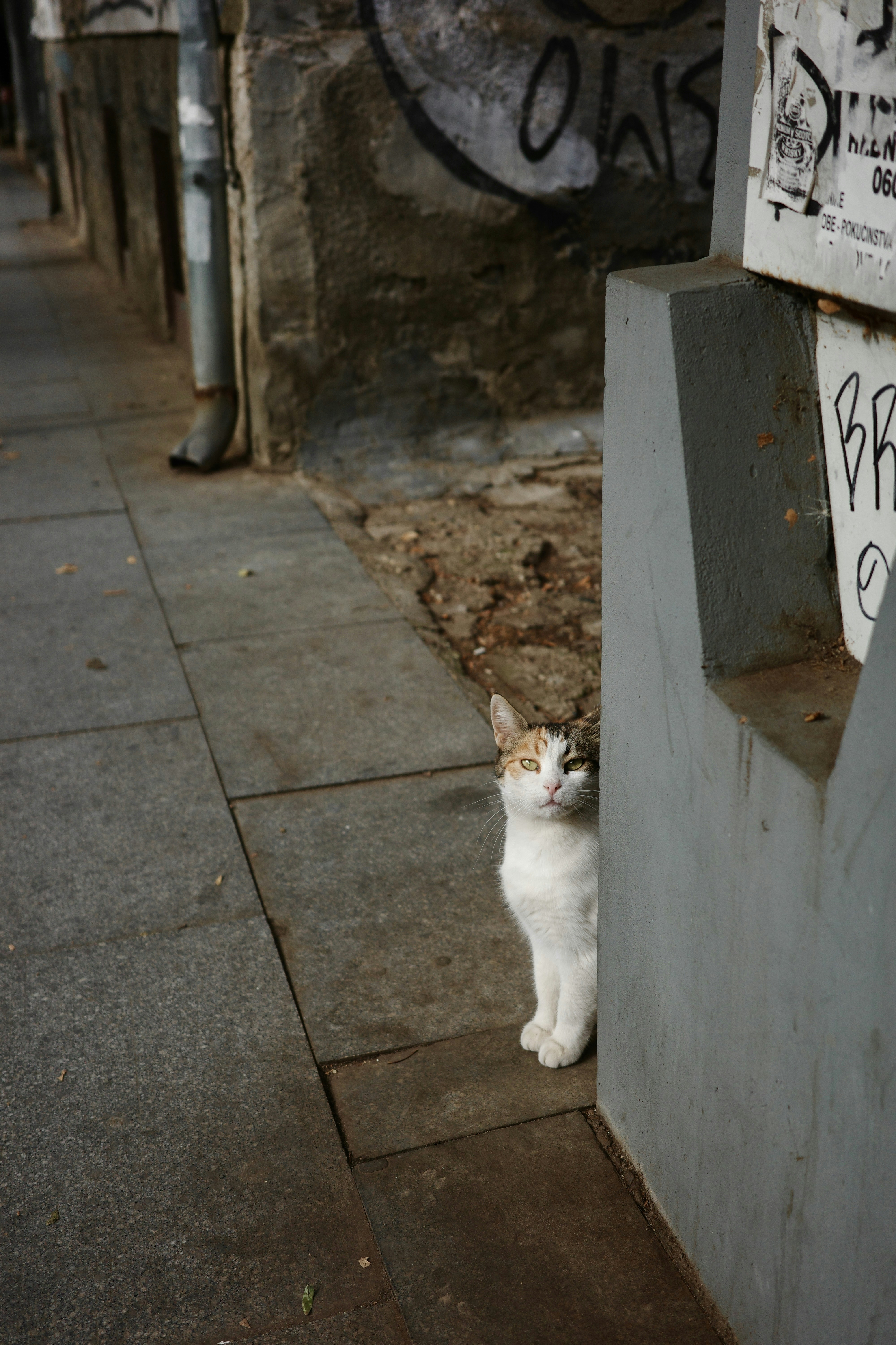 Photo by dmitrii_filatov