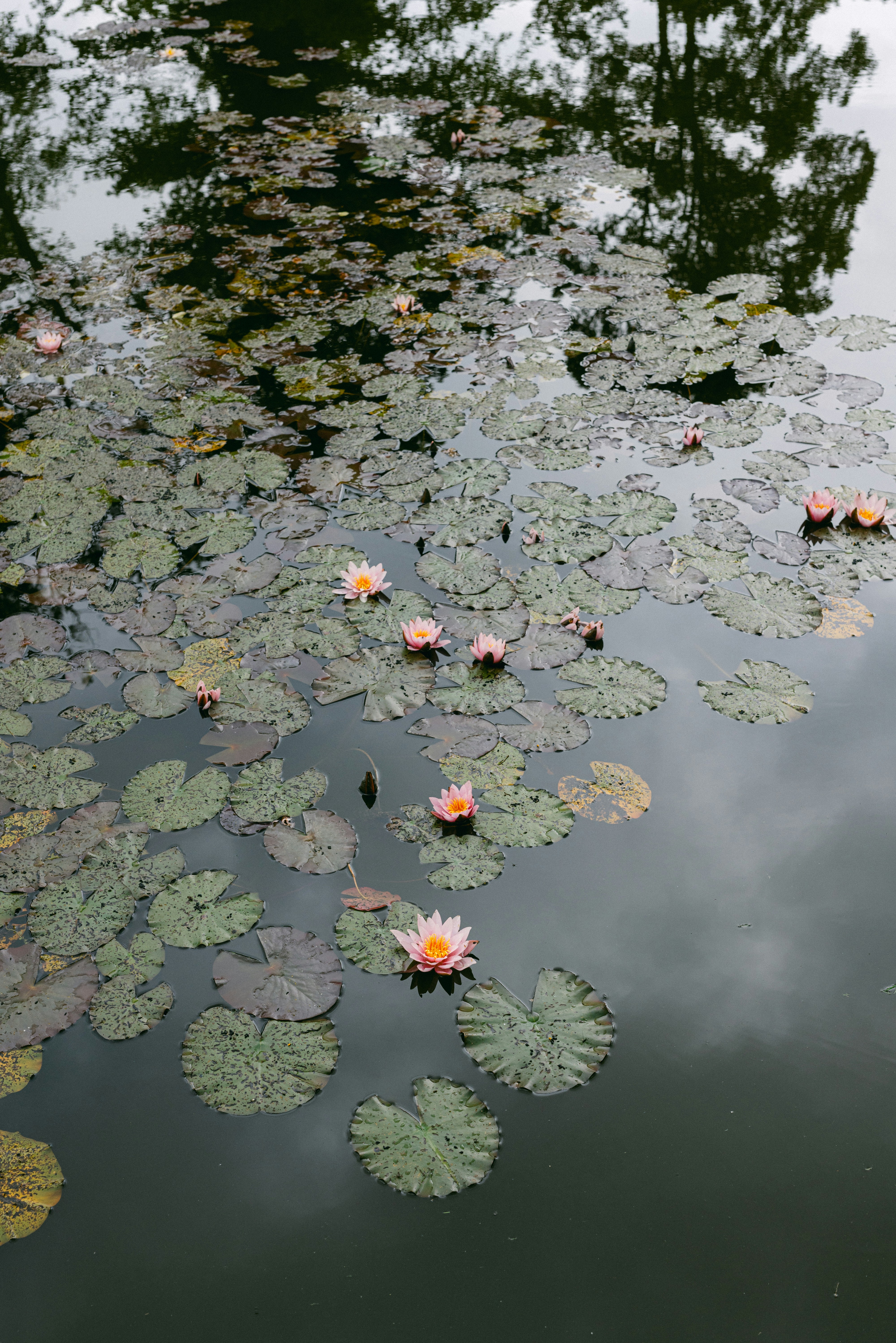 Photo by filipp_roman_photography