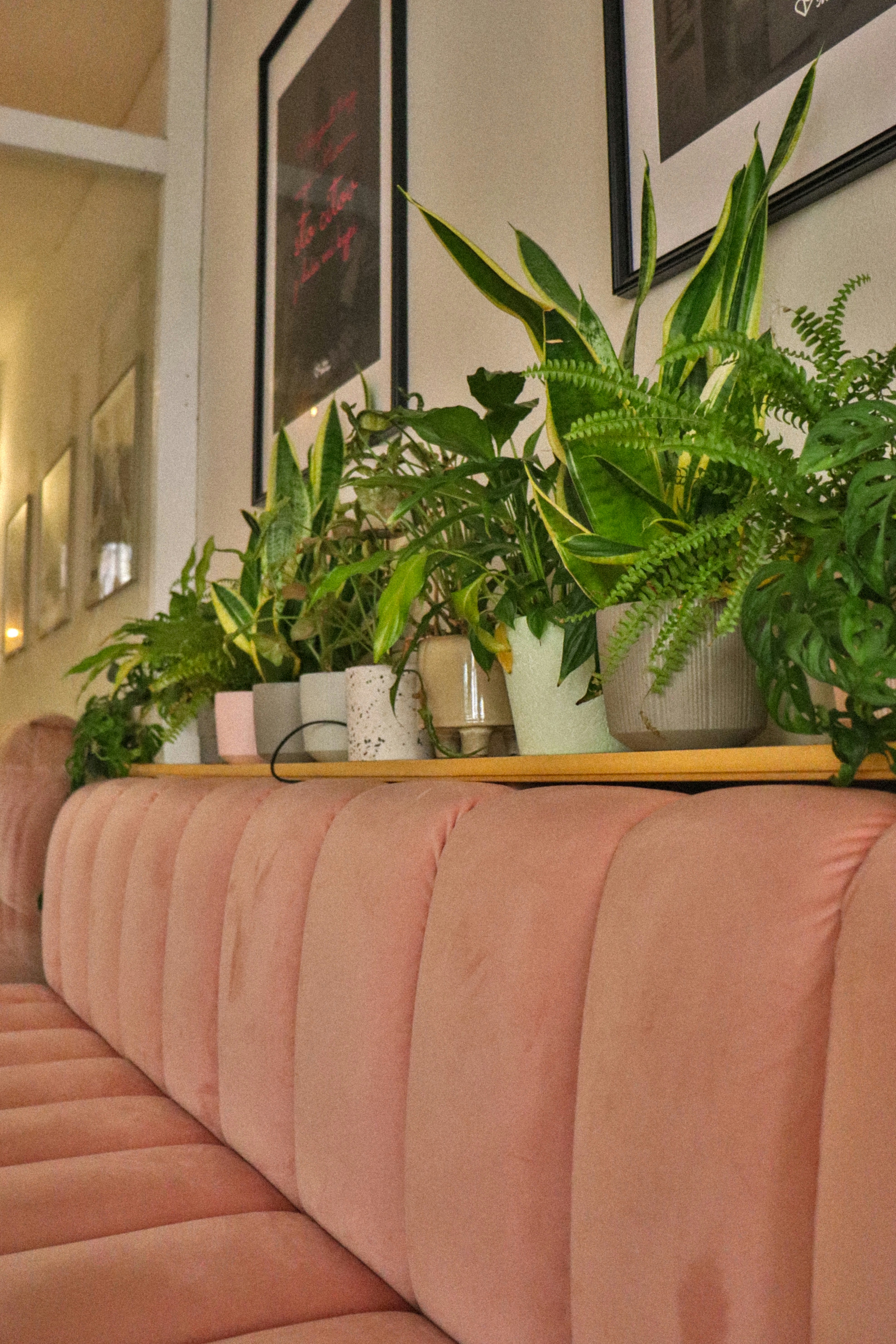 Banska Stiavnica travel photo