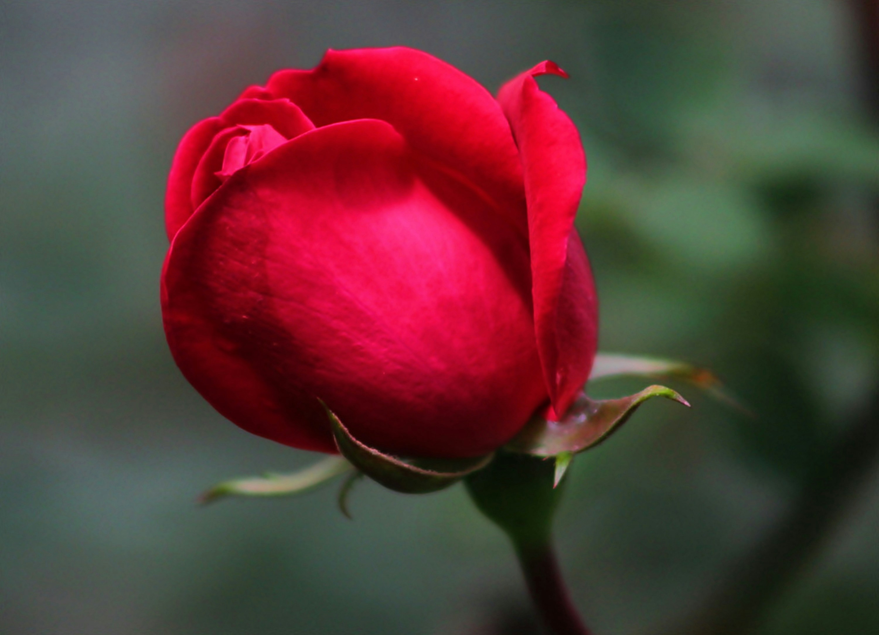 Photo by viewsofthecamera