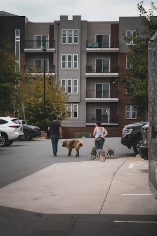 A group of people walking their dogs in a parking lot