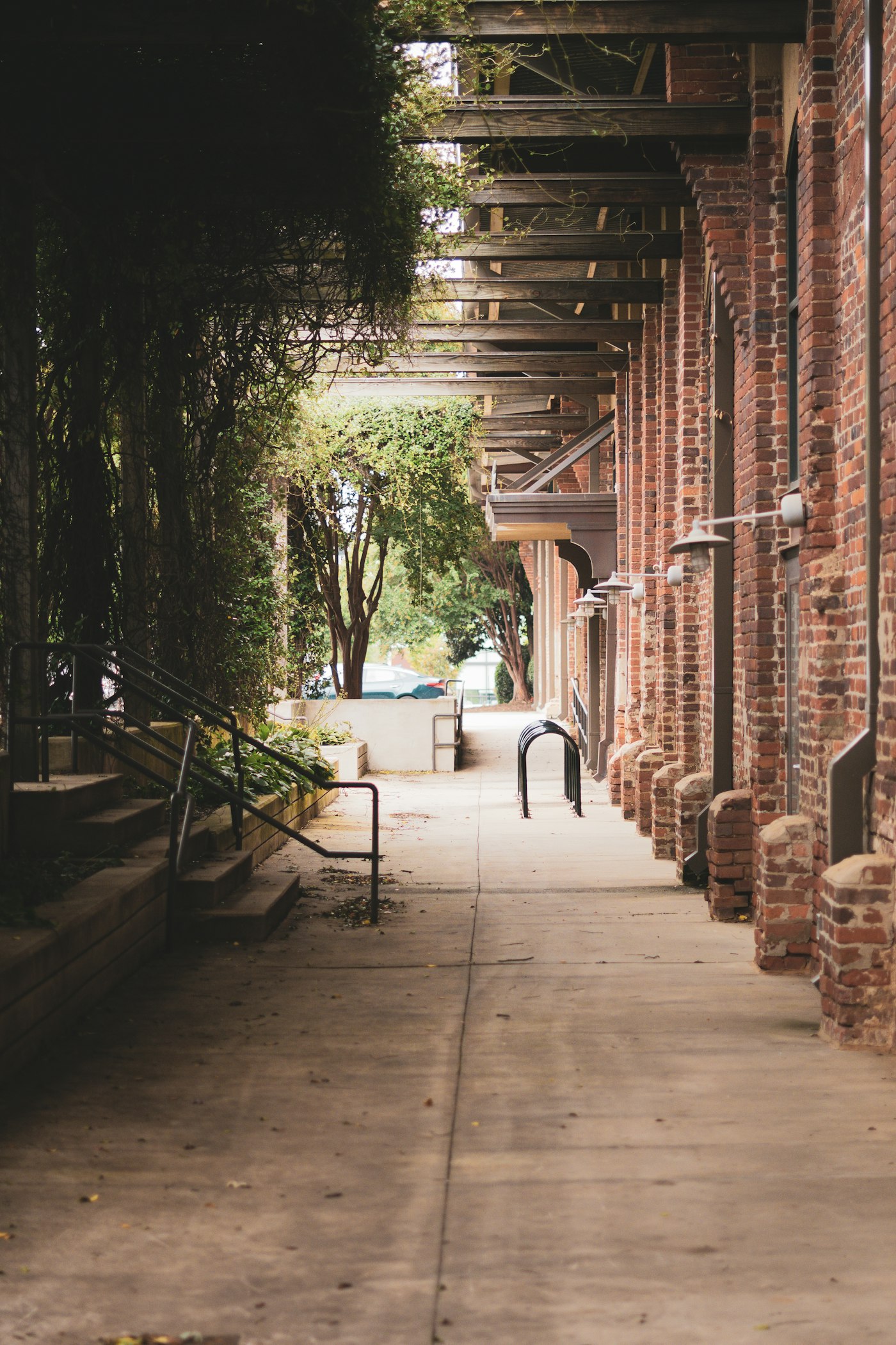 A covered brick walkway lined with climbing plants