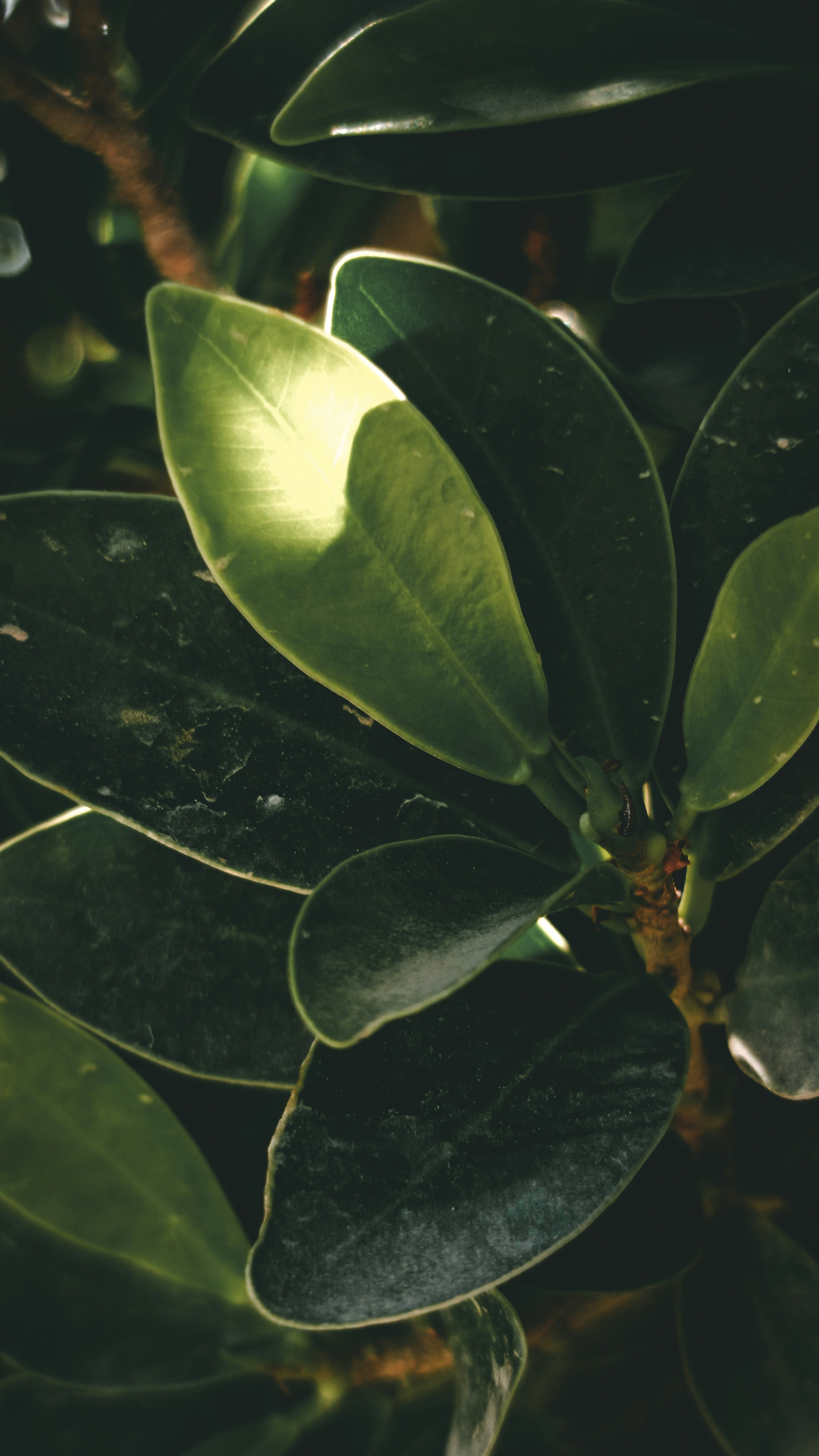 Photo by fukw0314_88