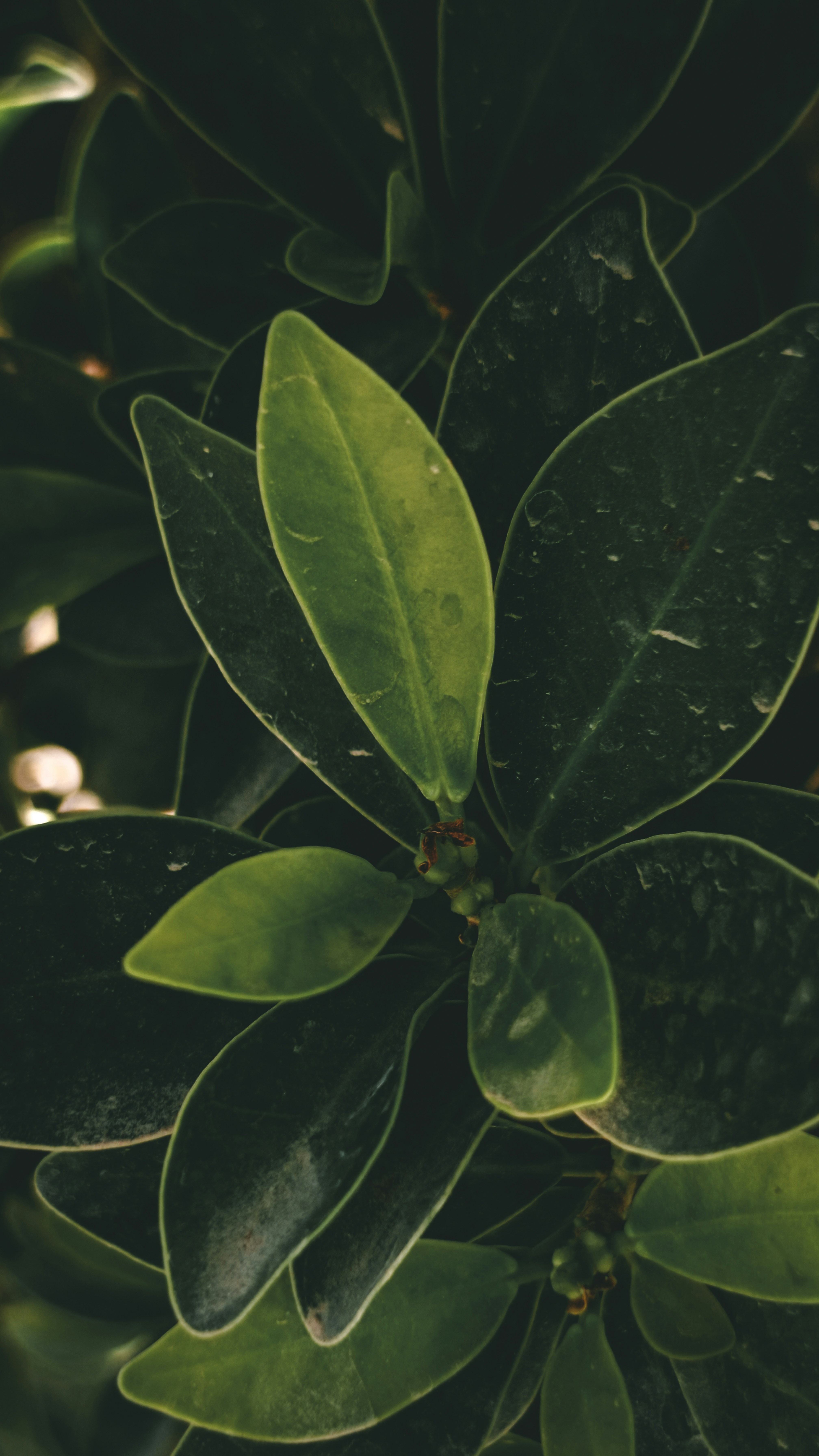 Photo by fukw0314_88