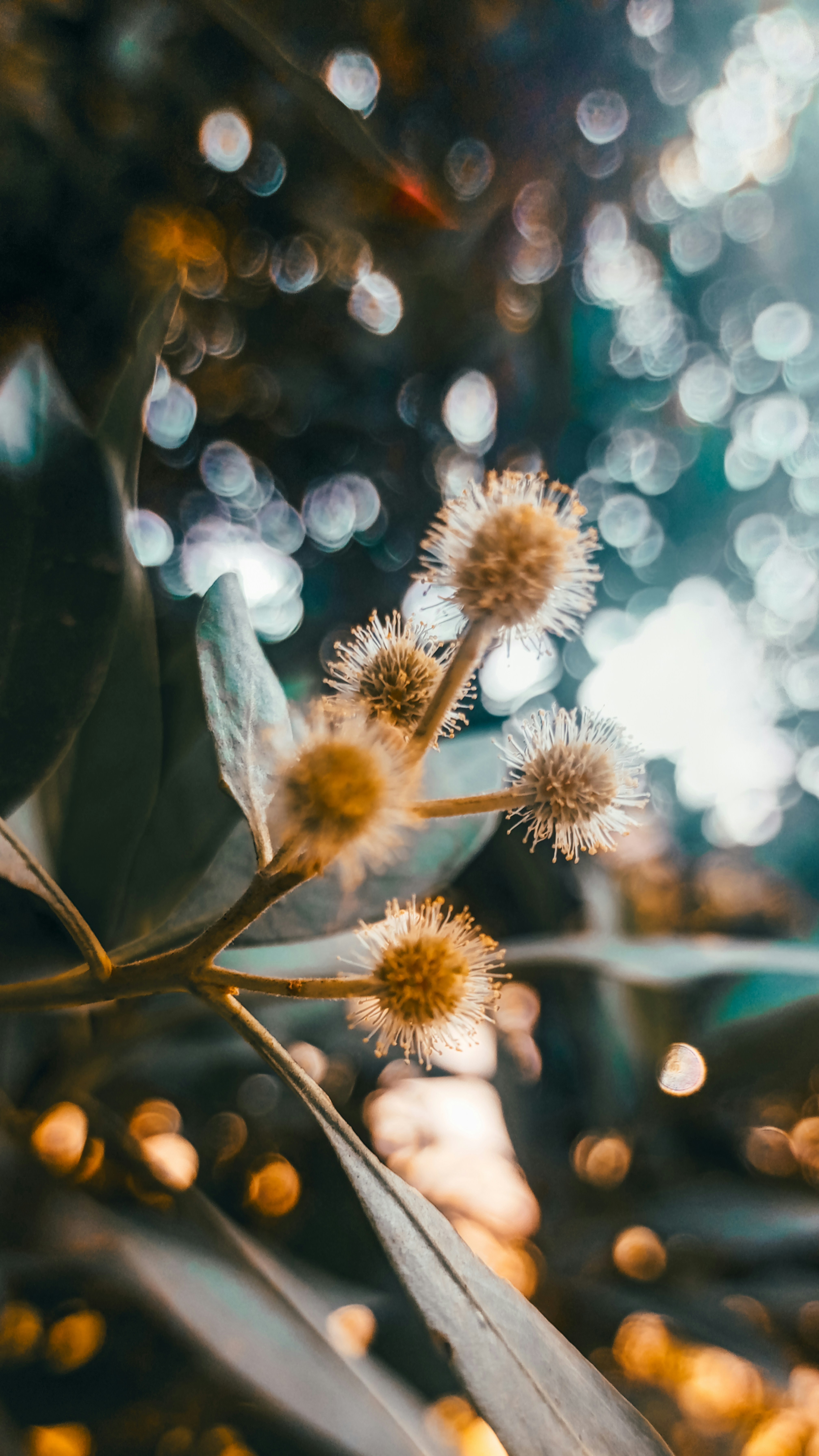 Photo by fukw0314_88