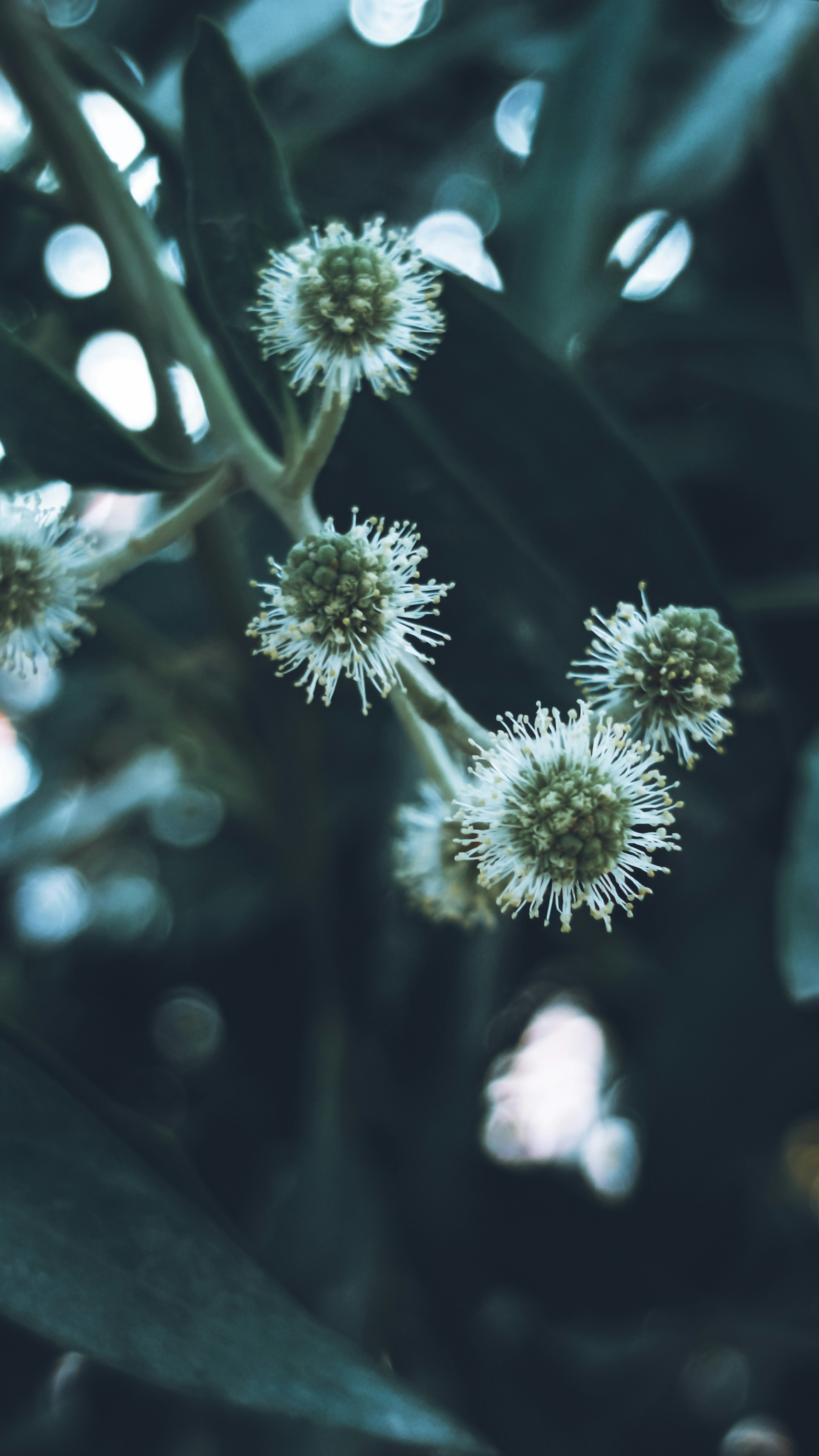 Photo by fukw0314_88