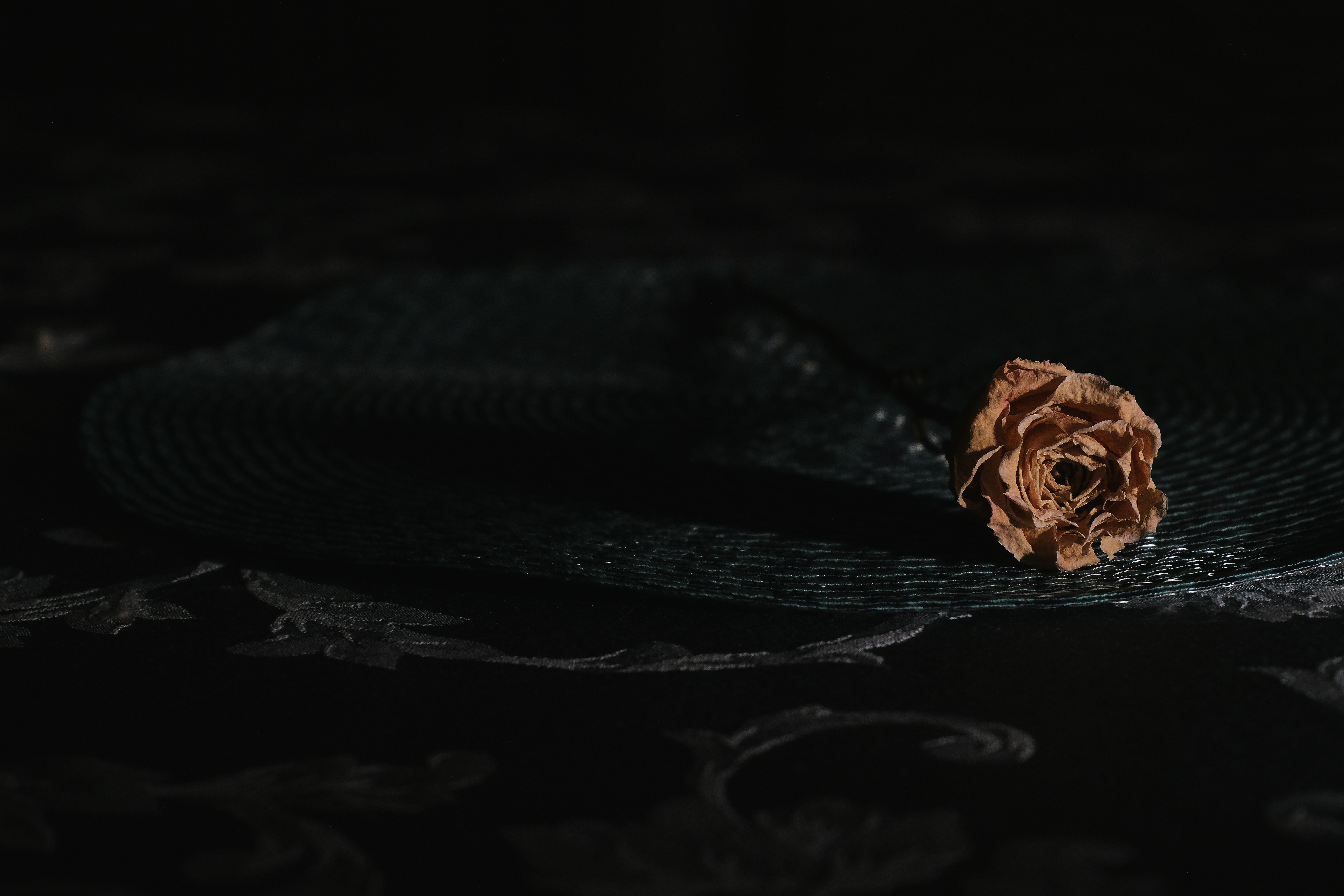 A black snake with a brown flower on it's head