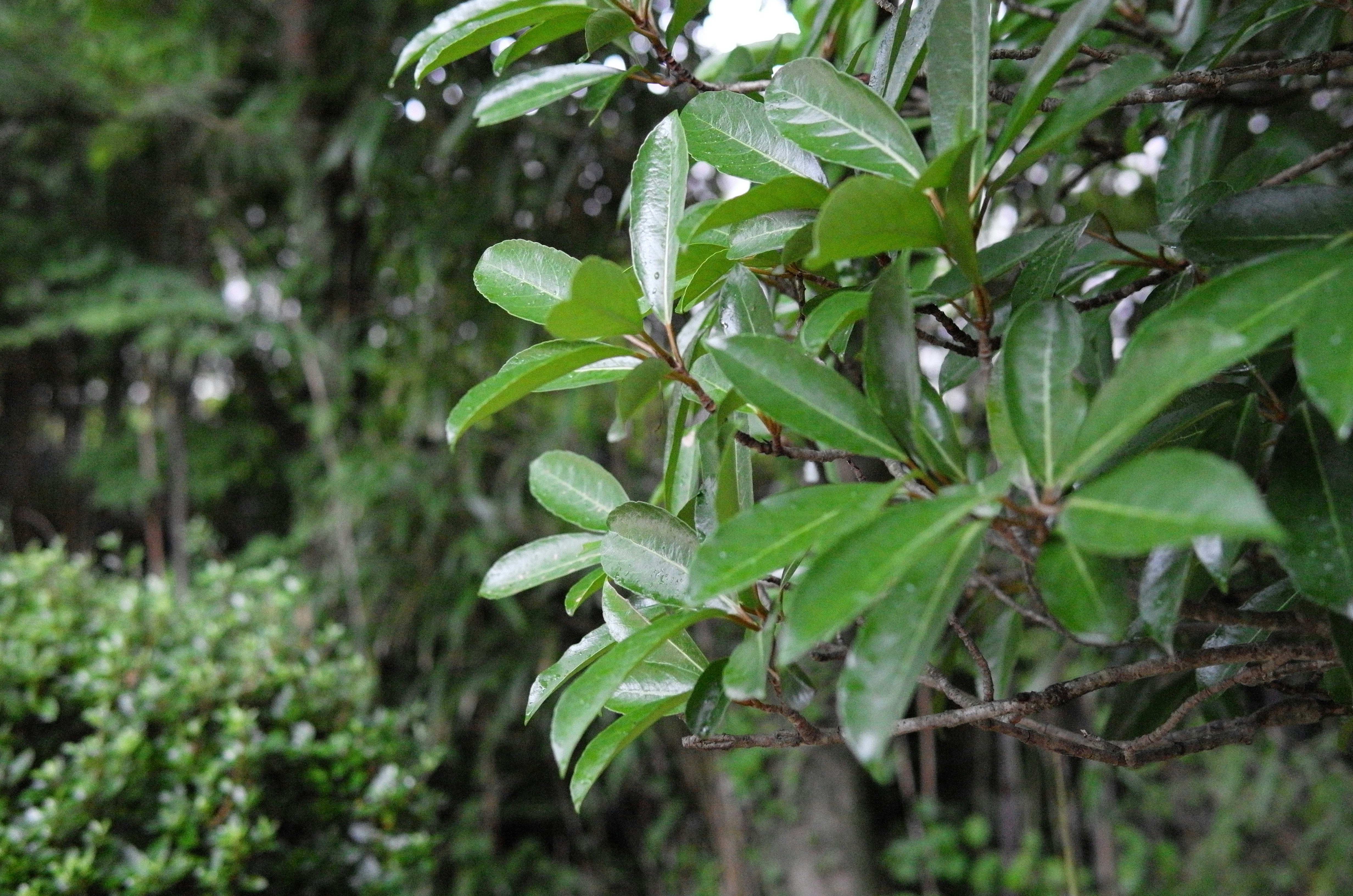 Photo by nonightshift