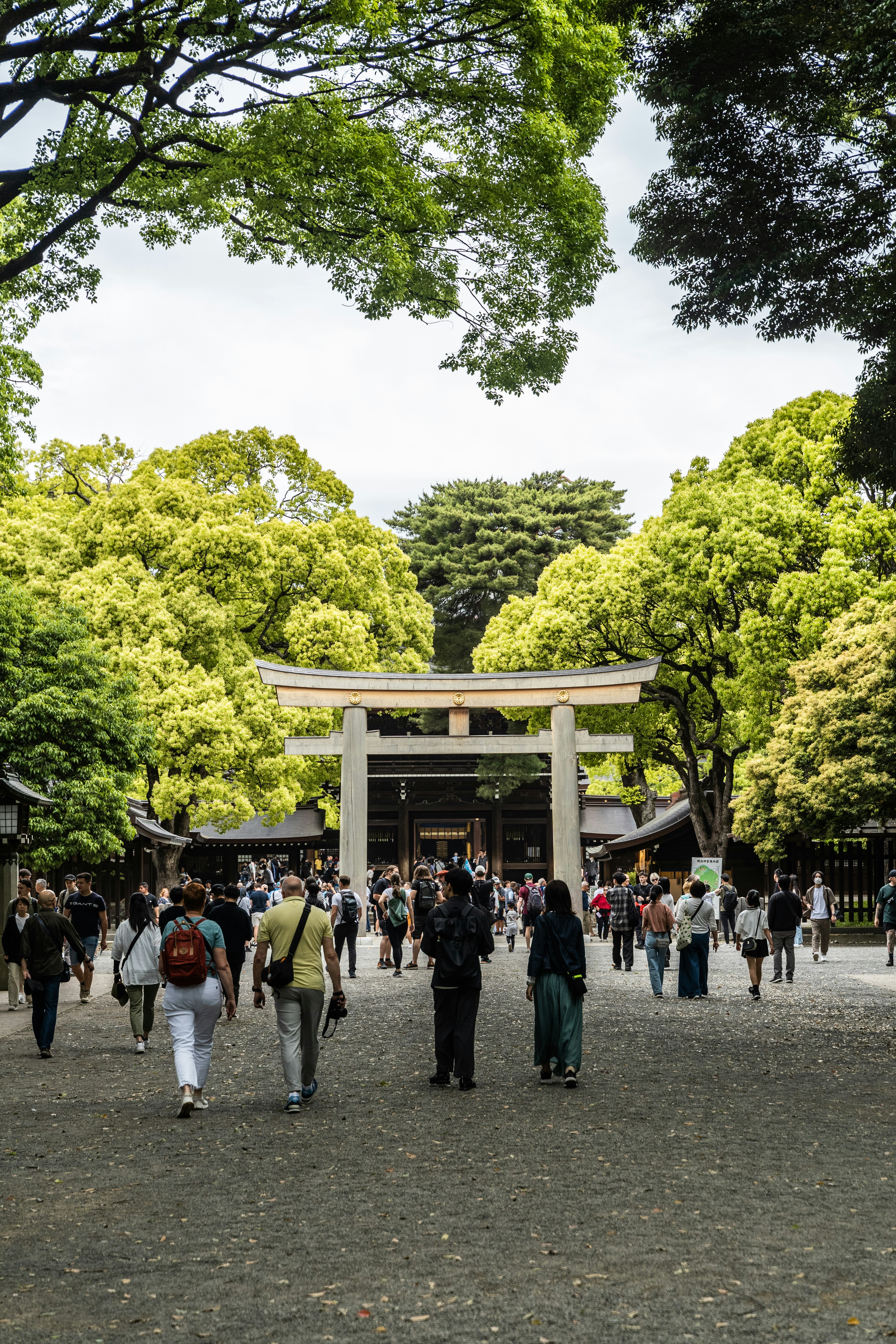 Un grupo de personas caminando por un parque