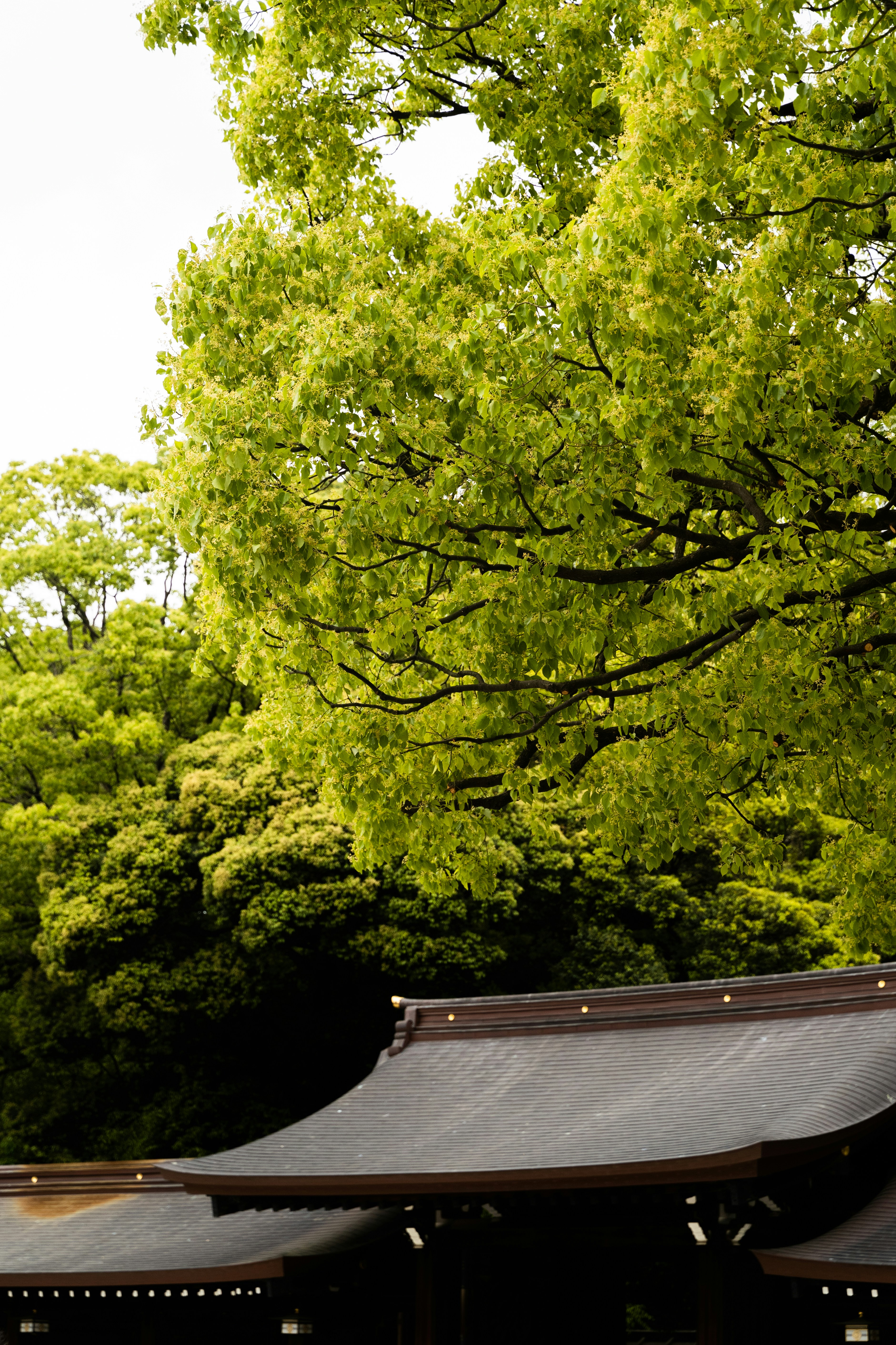 Un grupo de personas de pie frente a un edificio