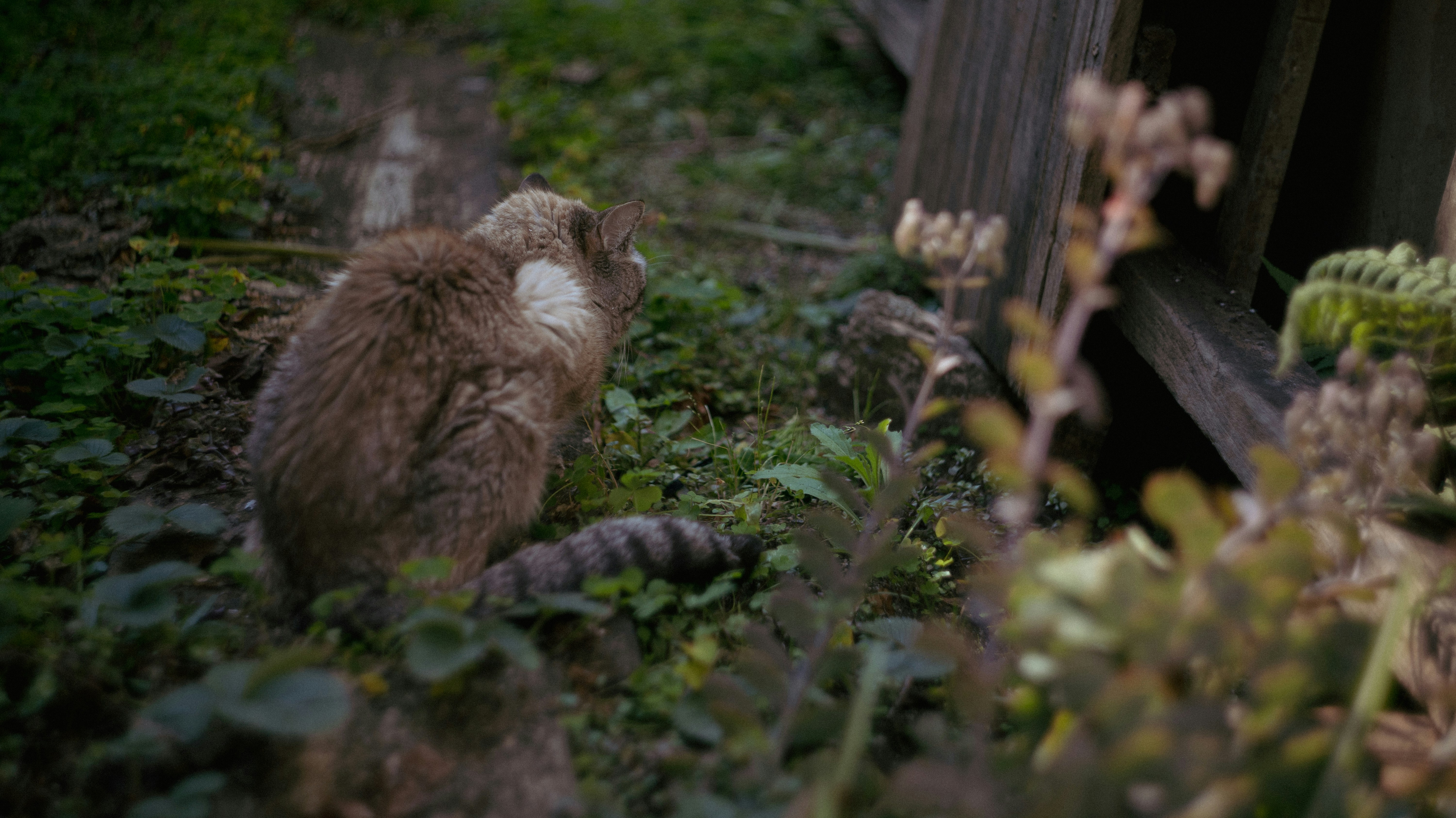 Photo by lucasdalamartaphoto