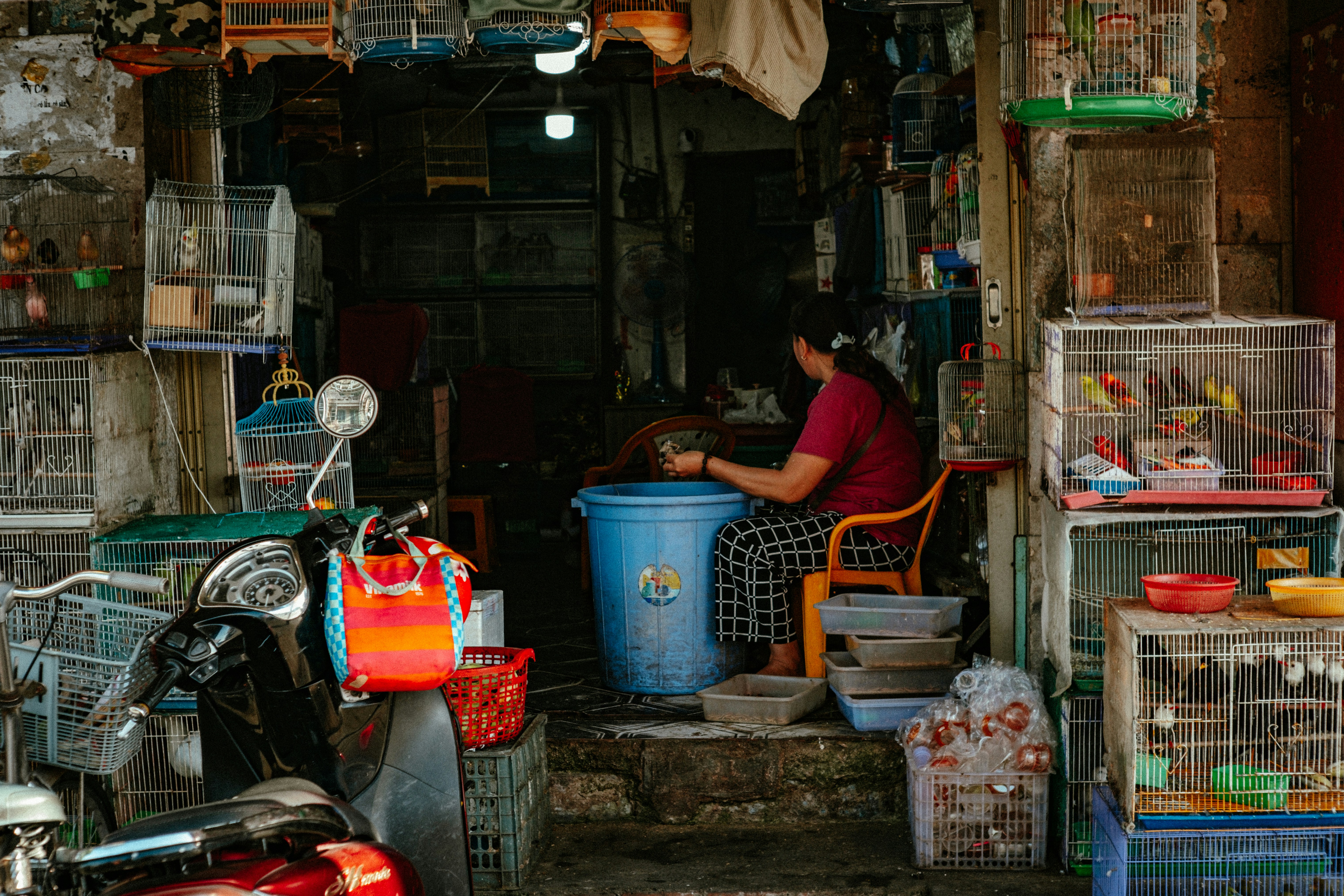 Photo by thinhngtrung