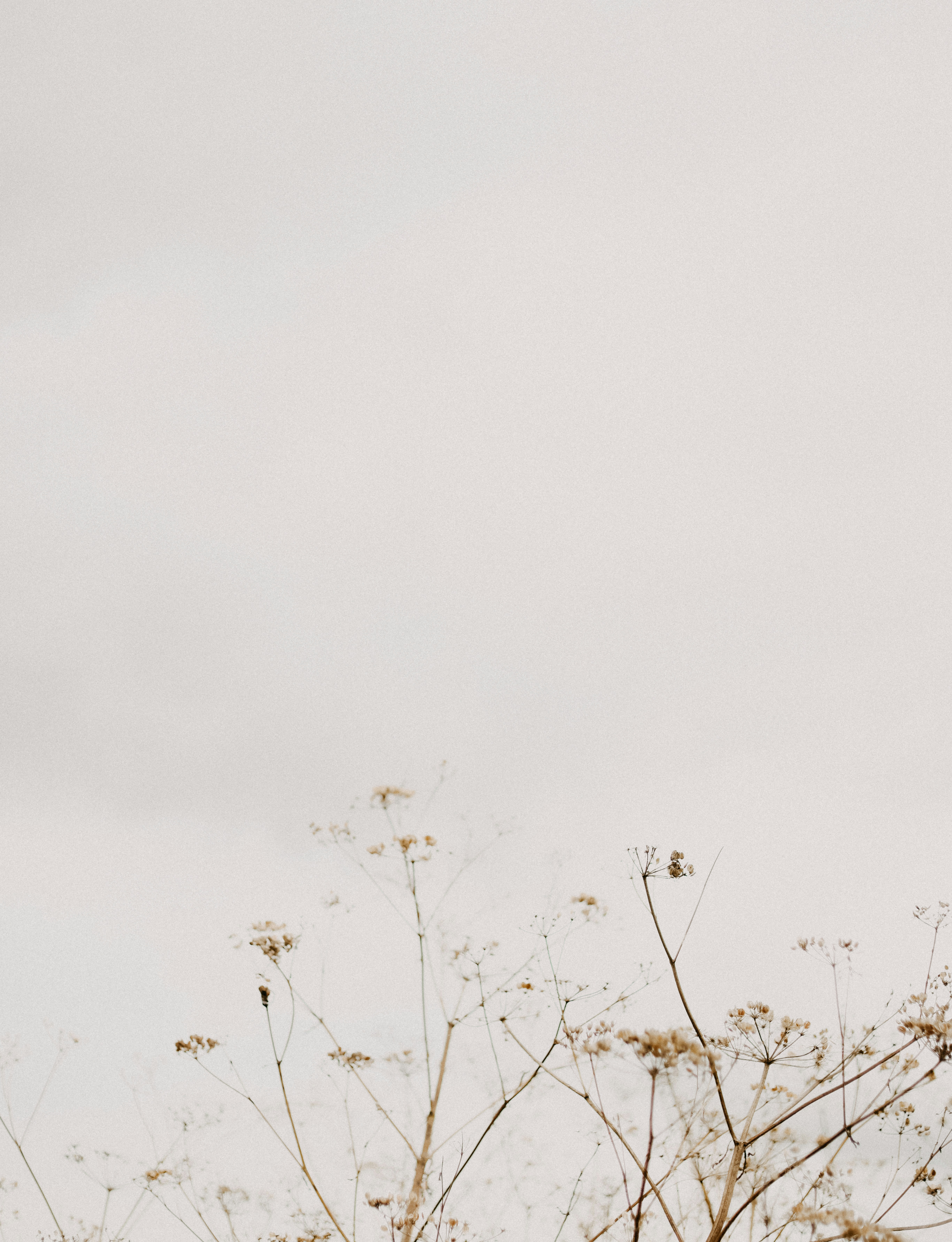 Photo by anniespratt