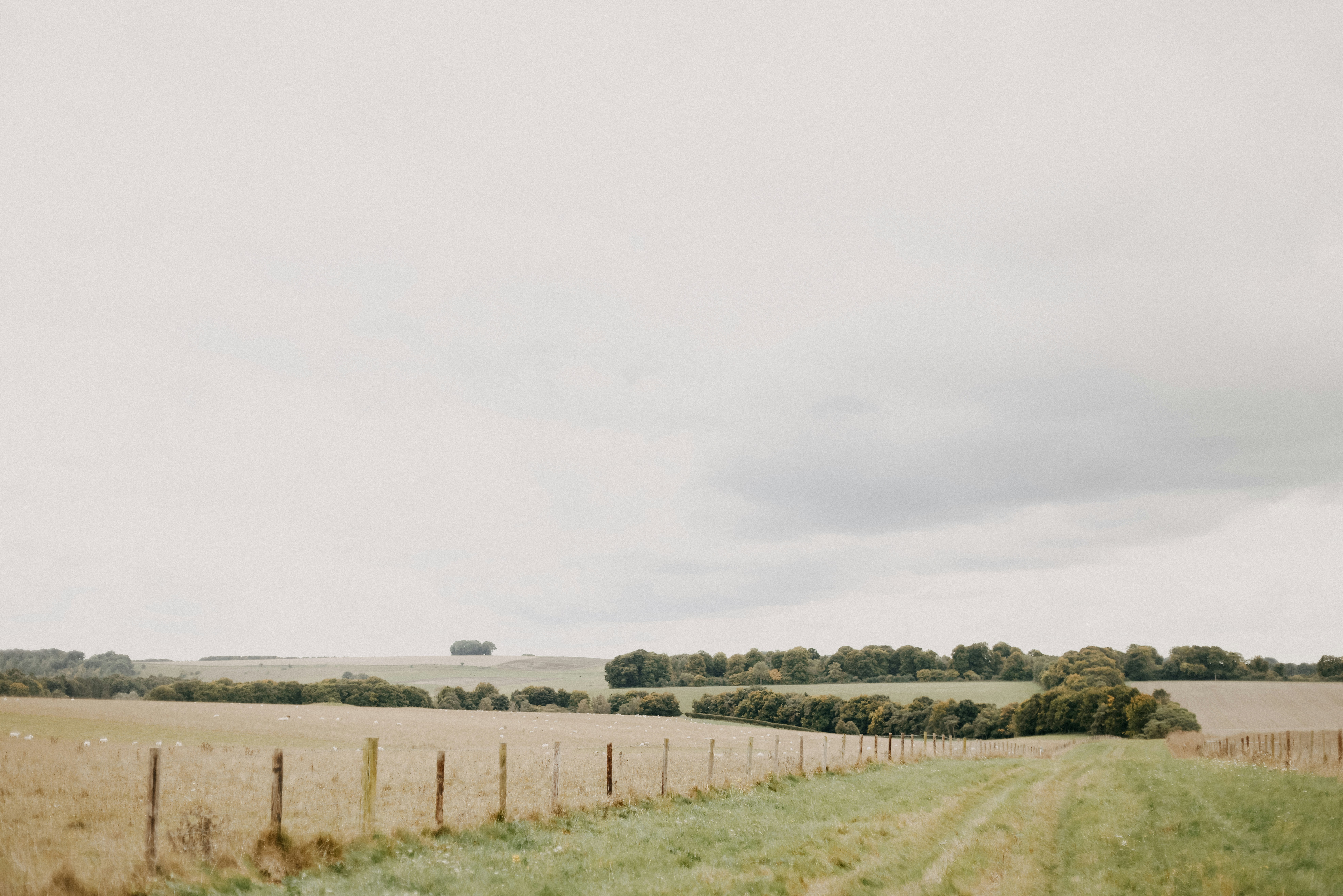 Photo by anniespratt