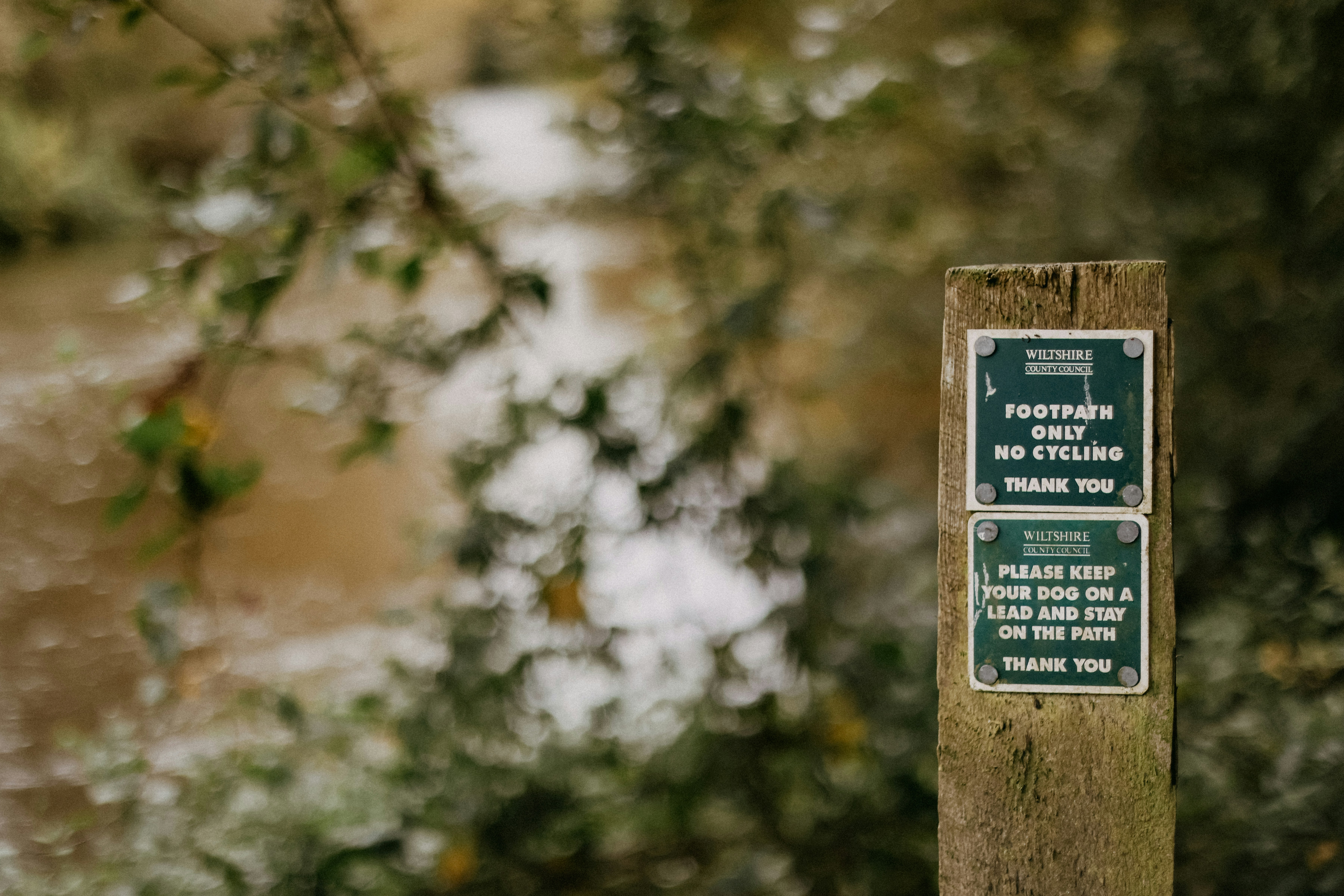 Photo by anniespratt