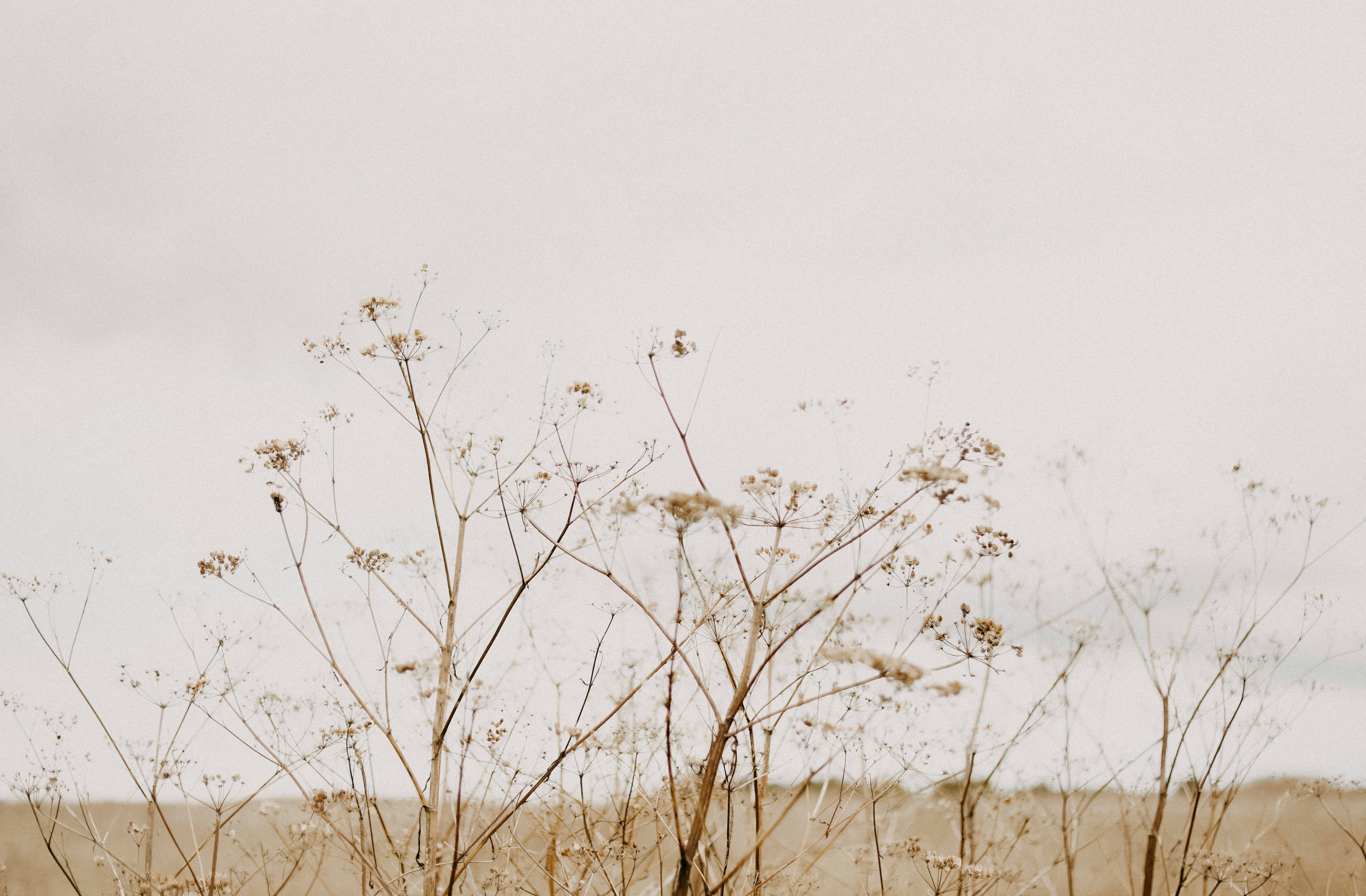 Photo by anniespratt