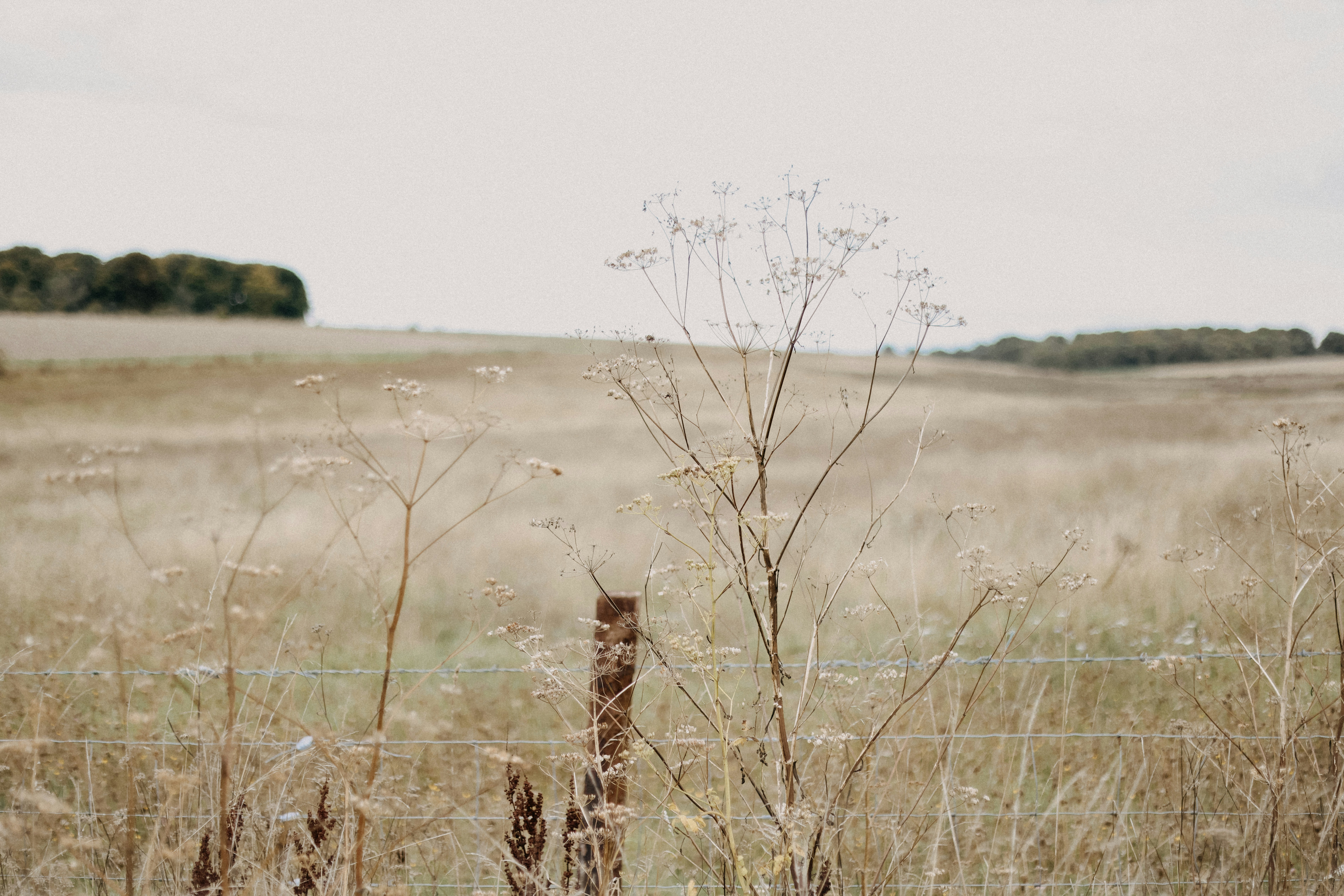 Photo by anniespratt