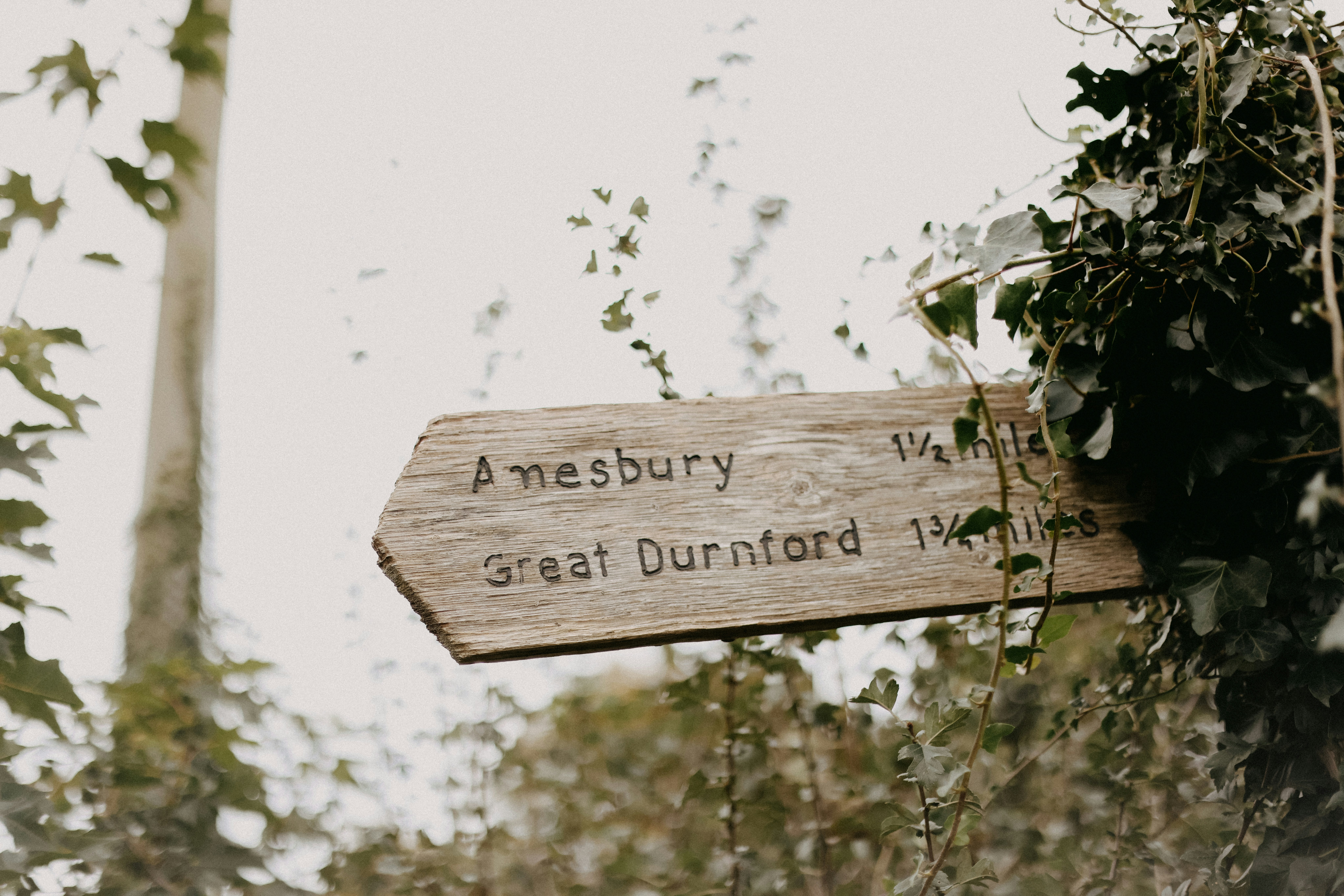 A wooden sign pointing in opposite directions in the woods